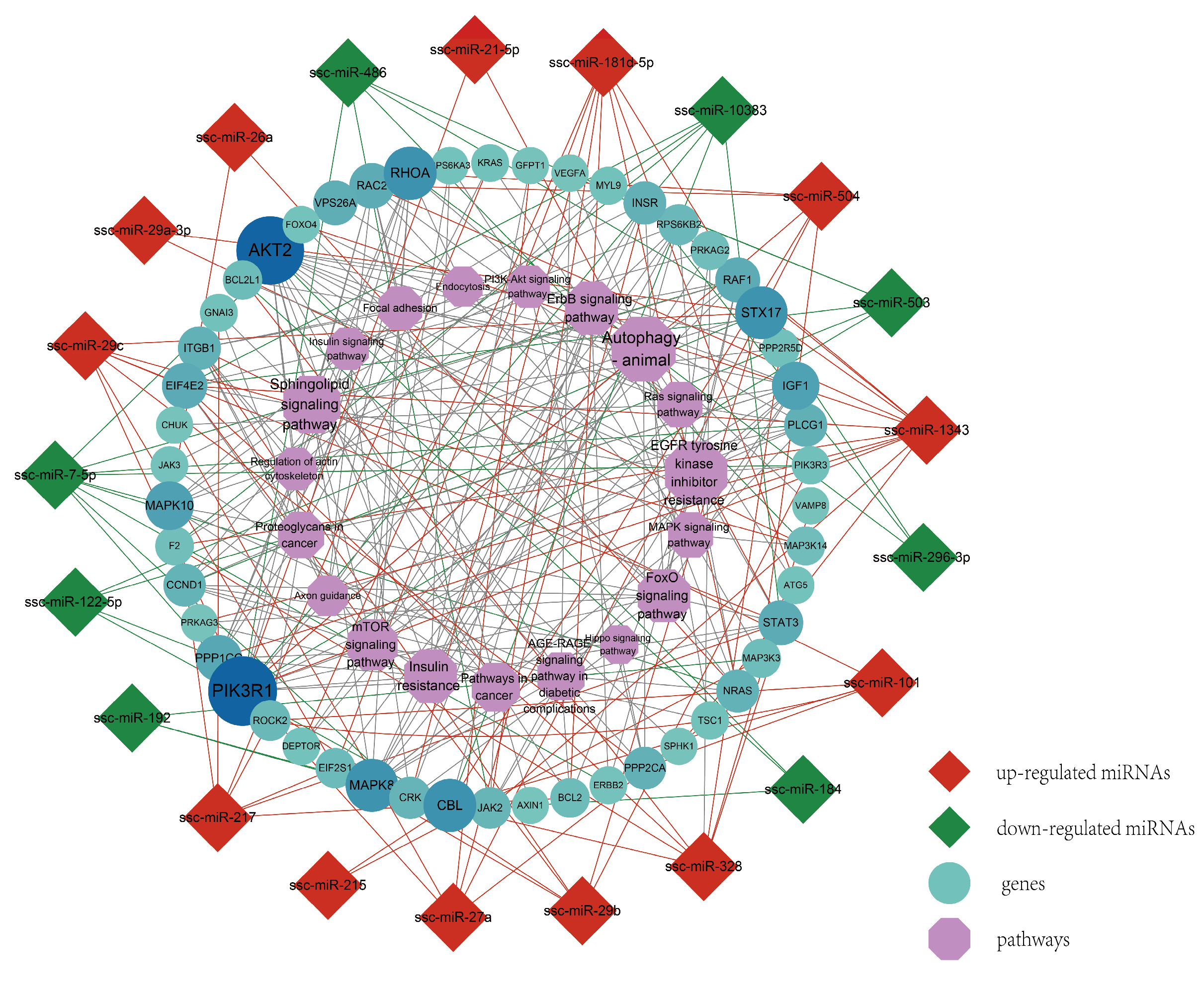 Genes 14 01372 g006 Genes 14 01372 g006