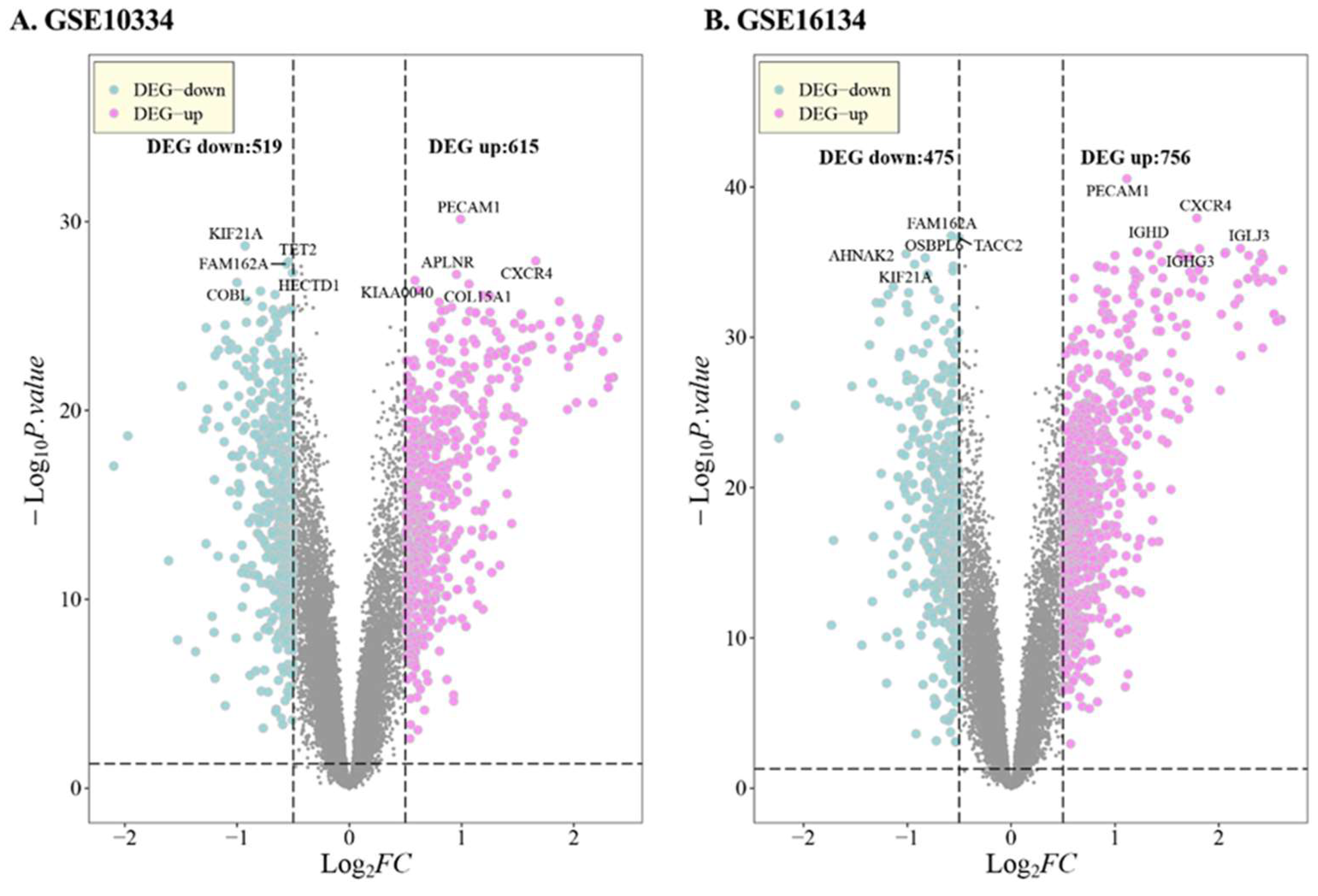 Genes 14 01374 g001a Genes 14 01374 g001a