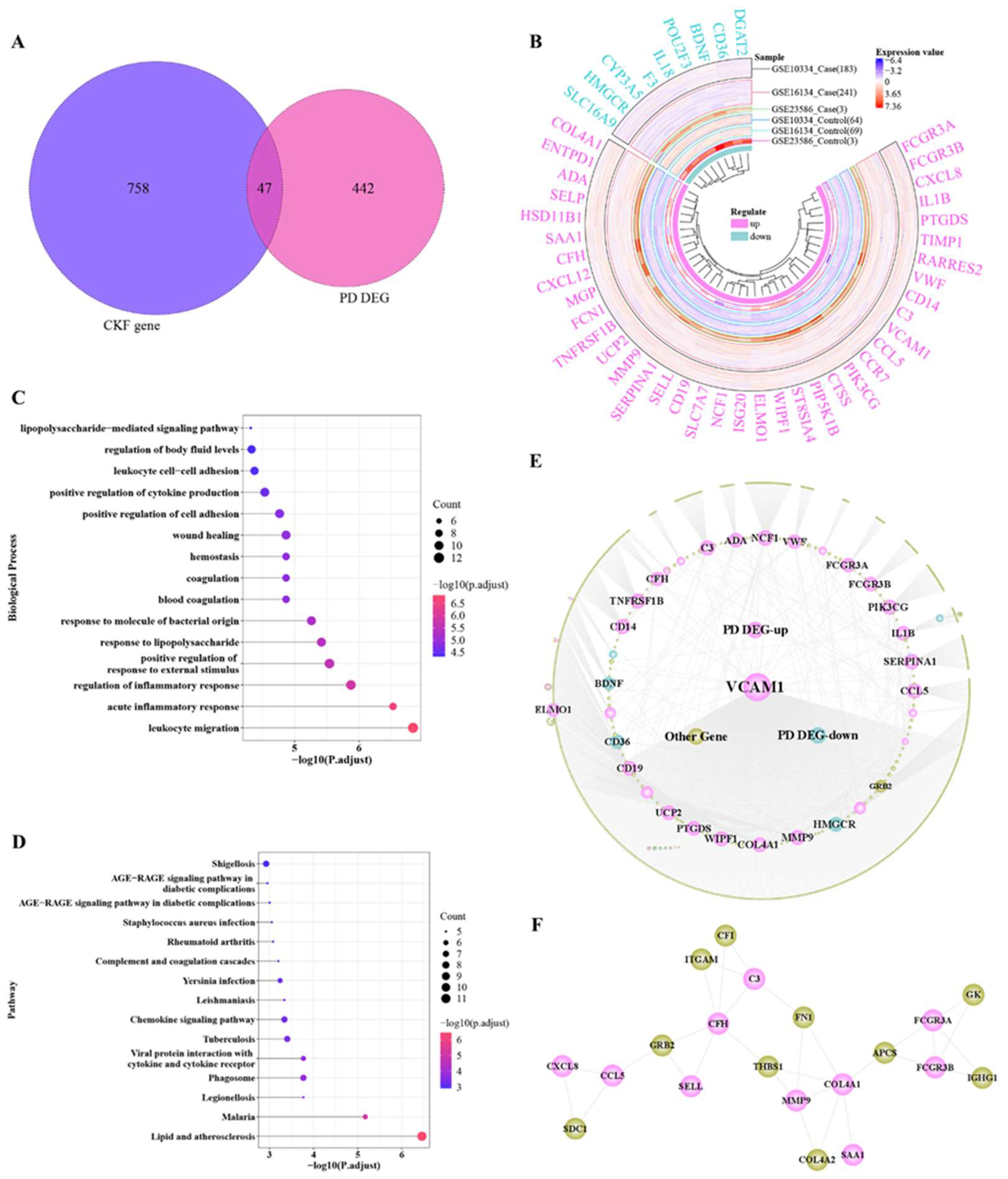 Genes 14 01374 g003 Genes 14 01374 g003