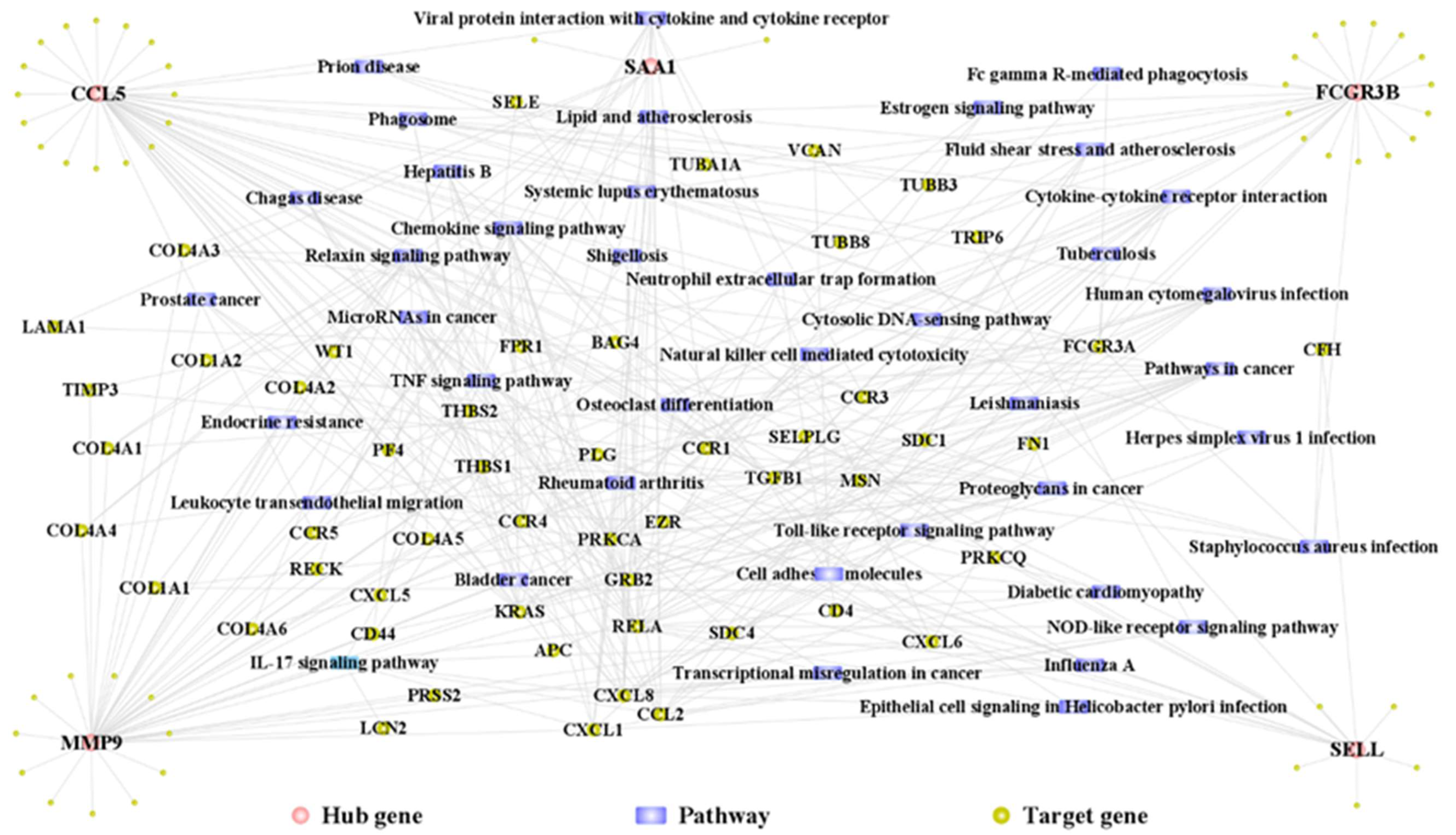 Genes 14 01374 g012 Genes 14 01374 g012