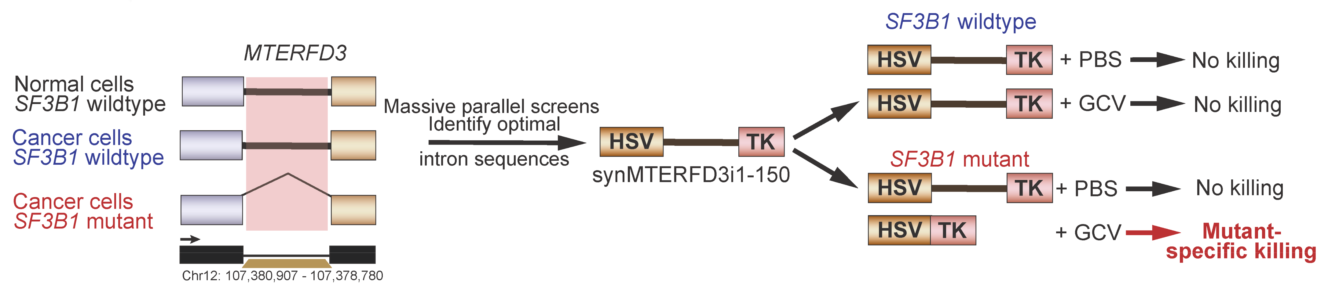 Genes 14 01378 g005 Genes 14 01378 g005