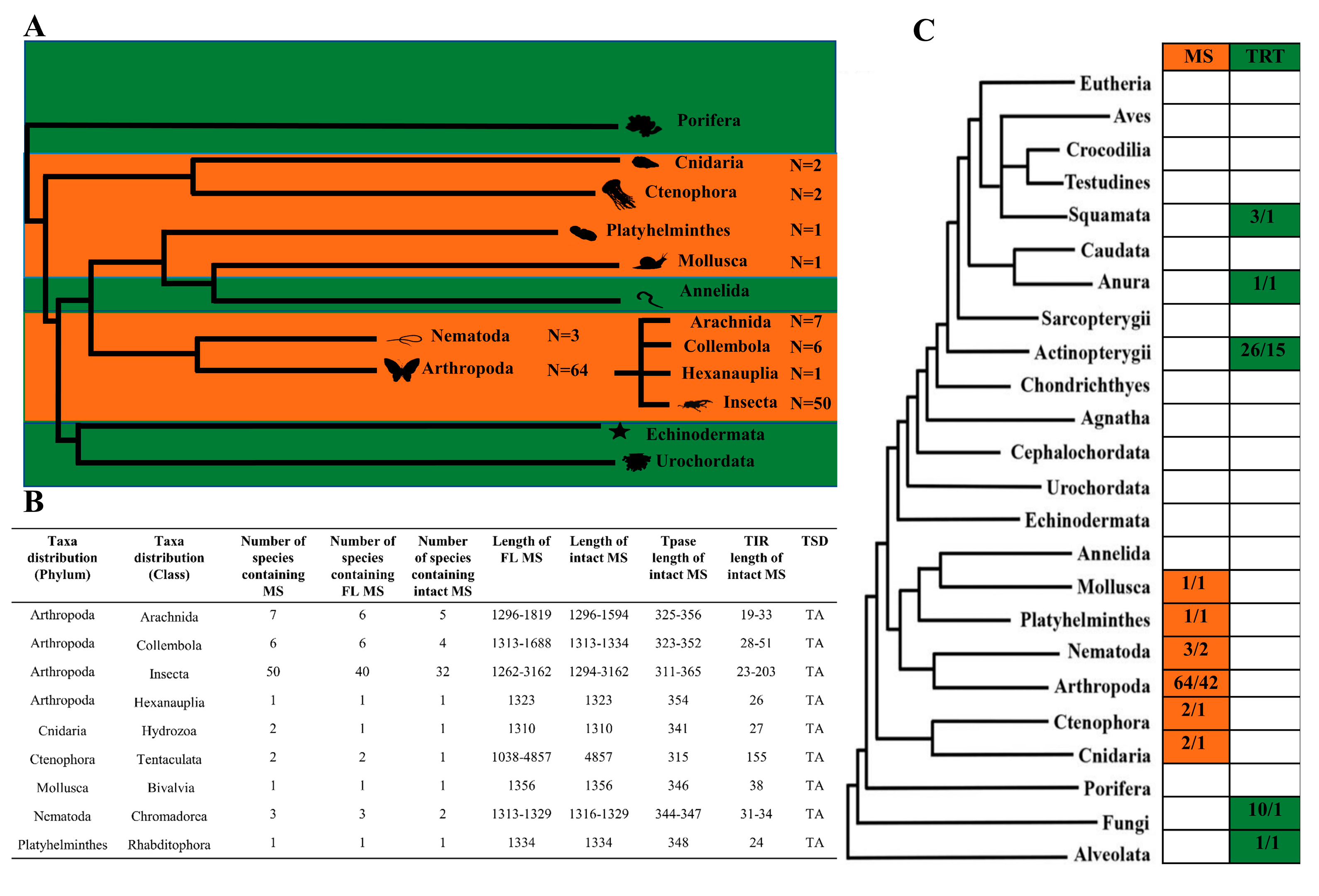 Genes 14 01379 g001 Genes 14 01379 g001