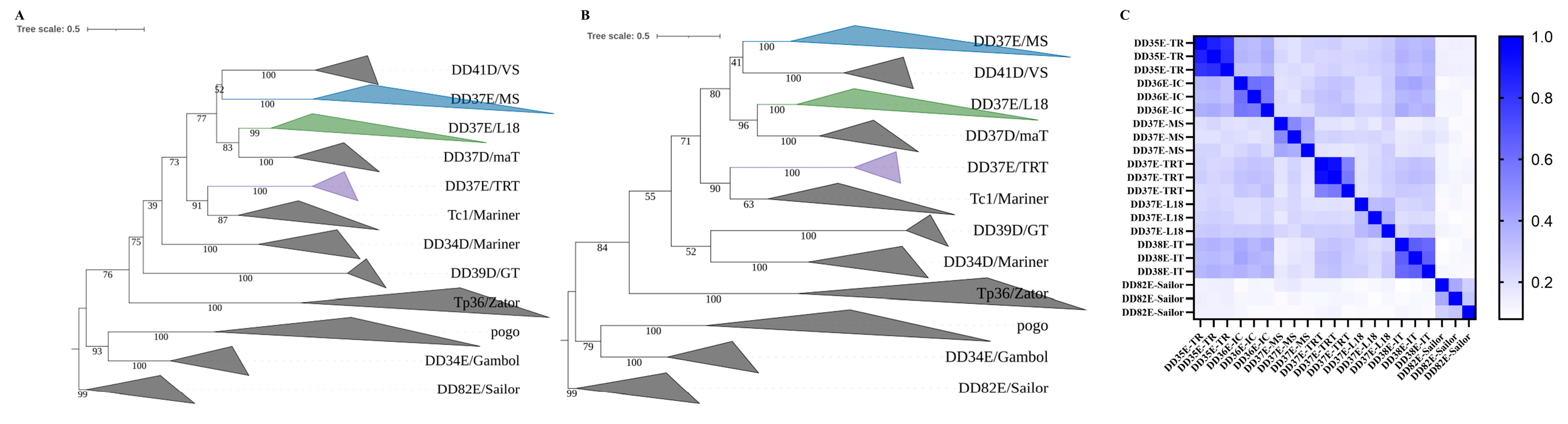 Genes 14 01379 g002 Genes 14 01379 g002