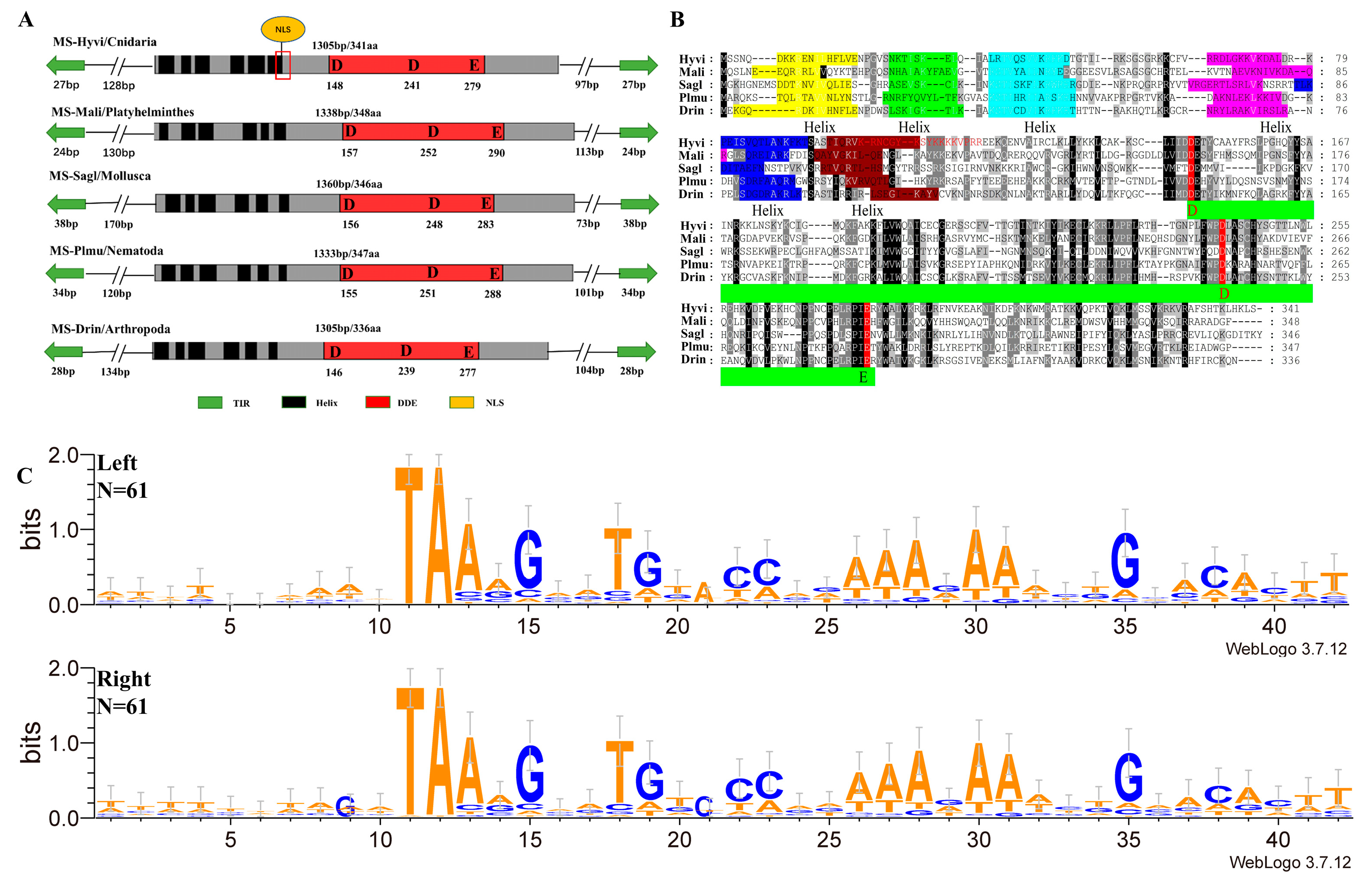 Genes 14 01379 g003 Genes 14 01379 g003