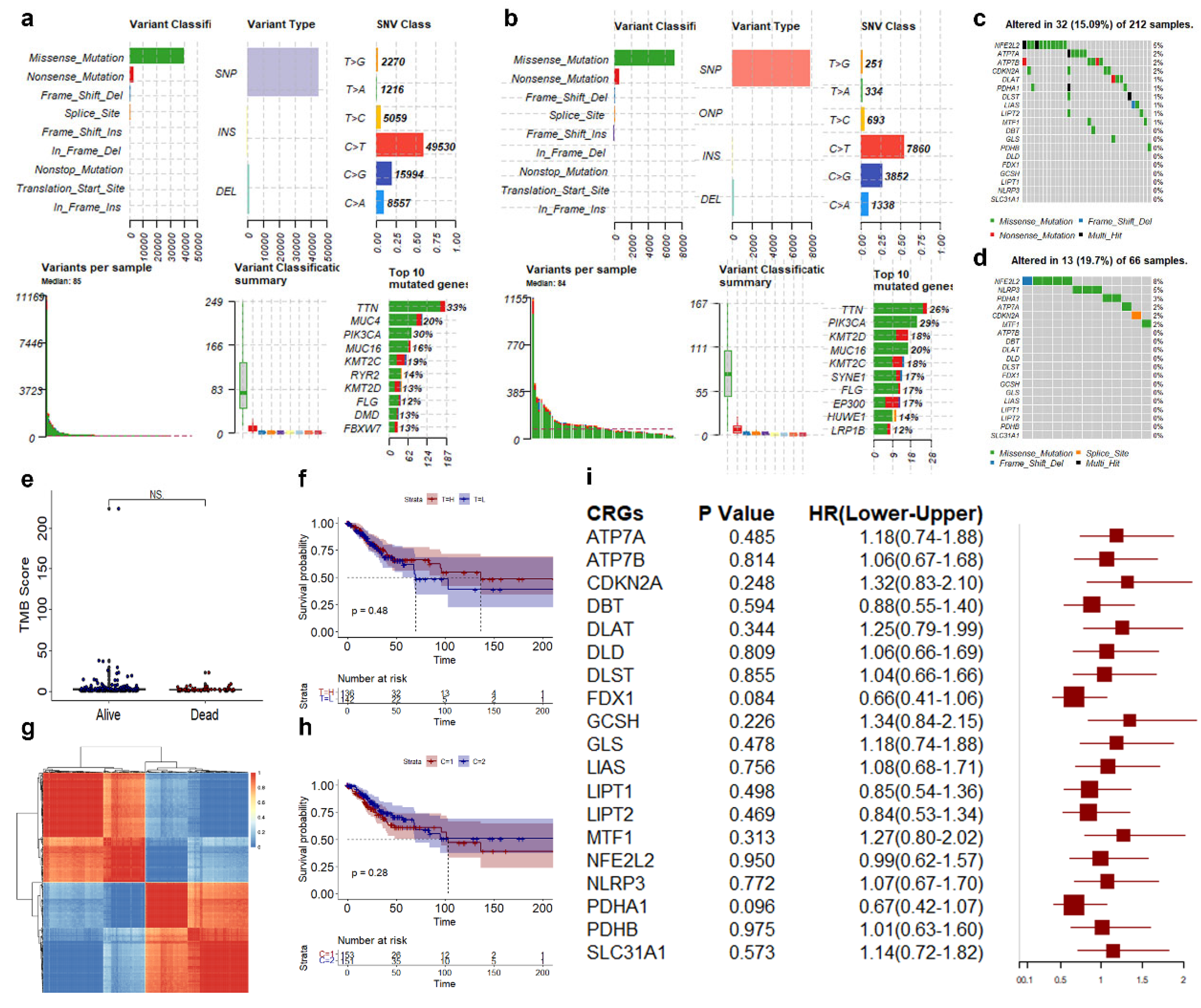Genes 14 01381 g001 Genes 14 01381 g001