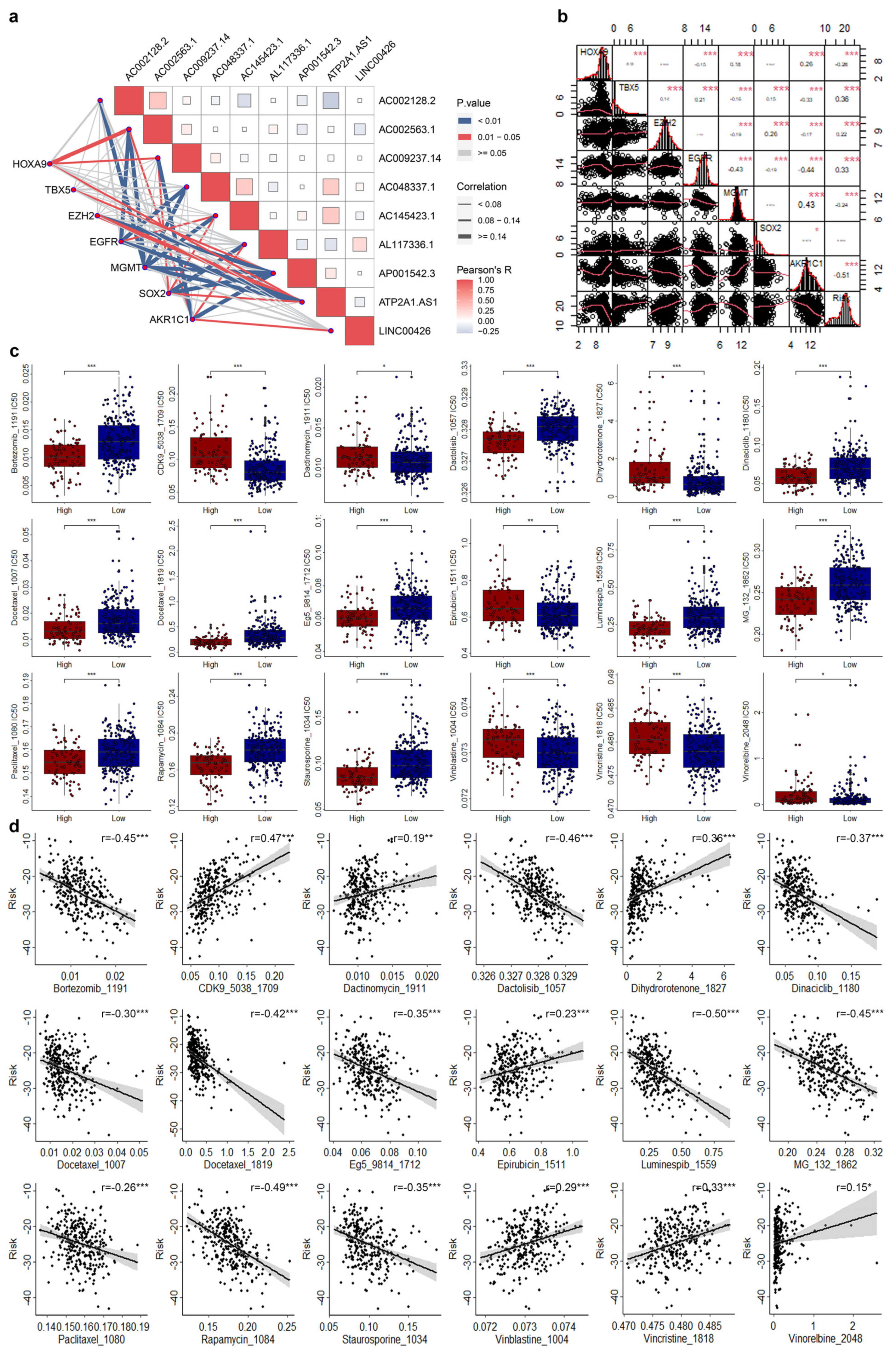 Genes 14 01381 g006 Genes 14 01381 g006