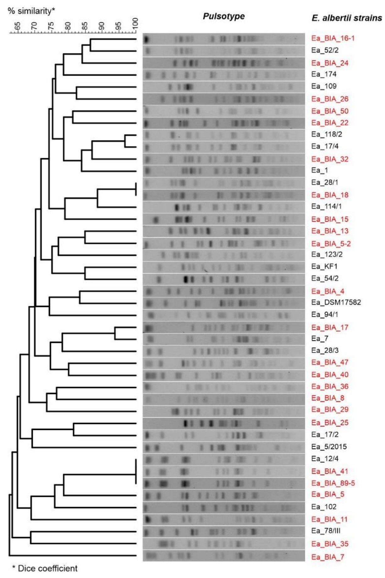Genes 14 01384 g002 Genes 14 01384 g002