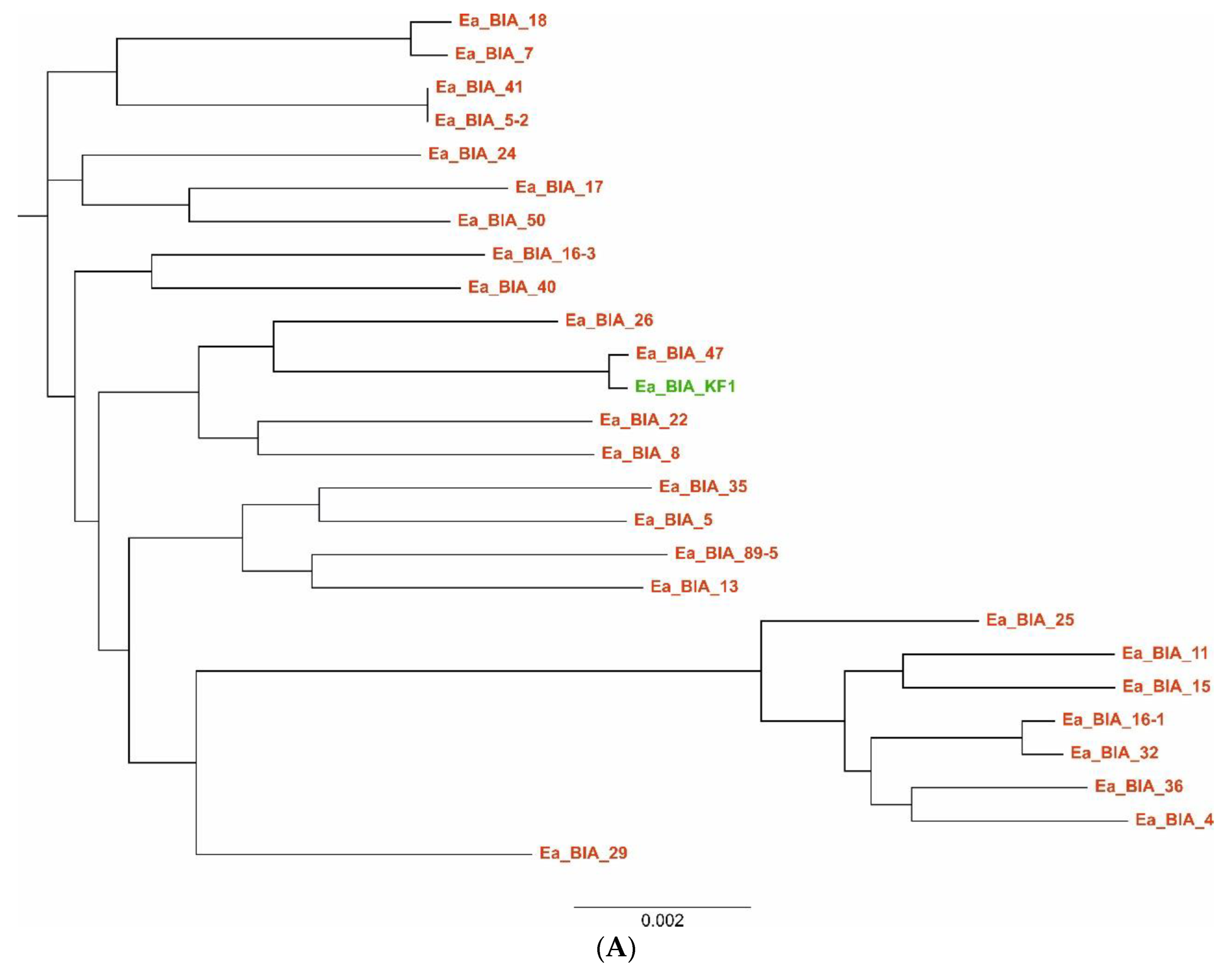 Genes 14 01384 g005a Genes 14 01384 g005a