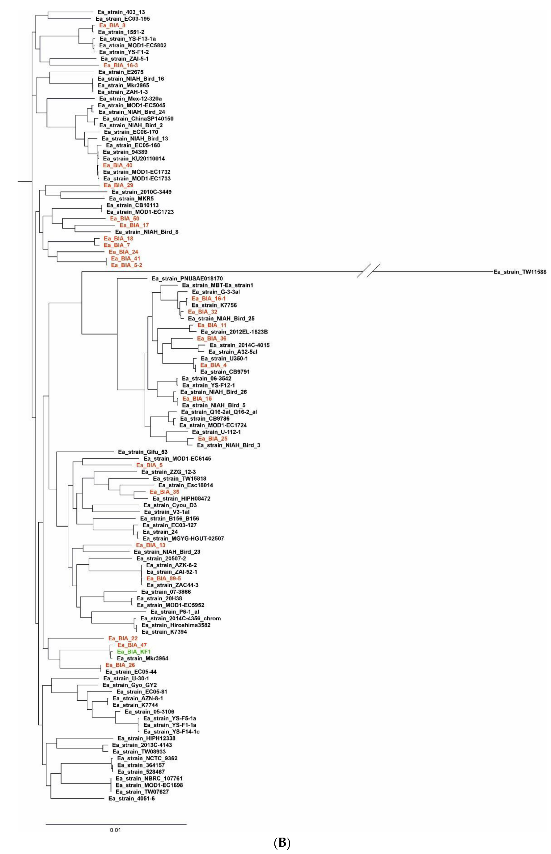 Genes 14 01384 g005b Genes 14 01384 g005b