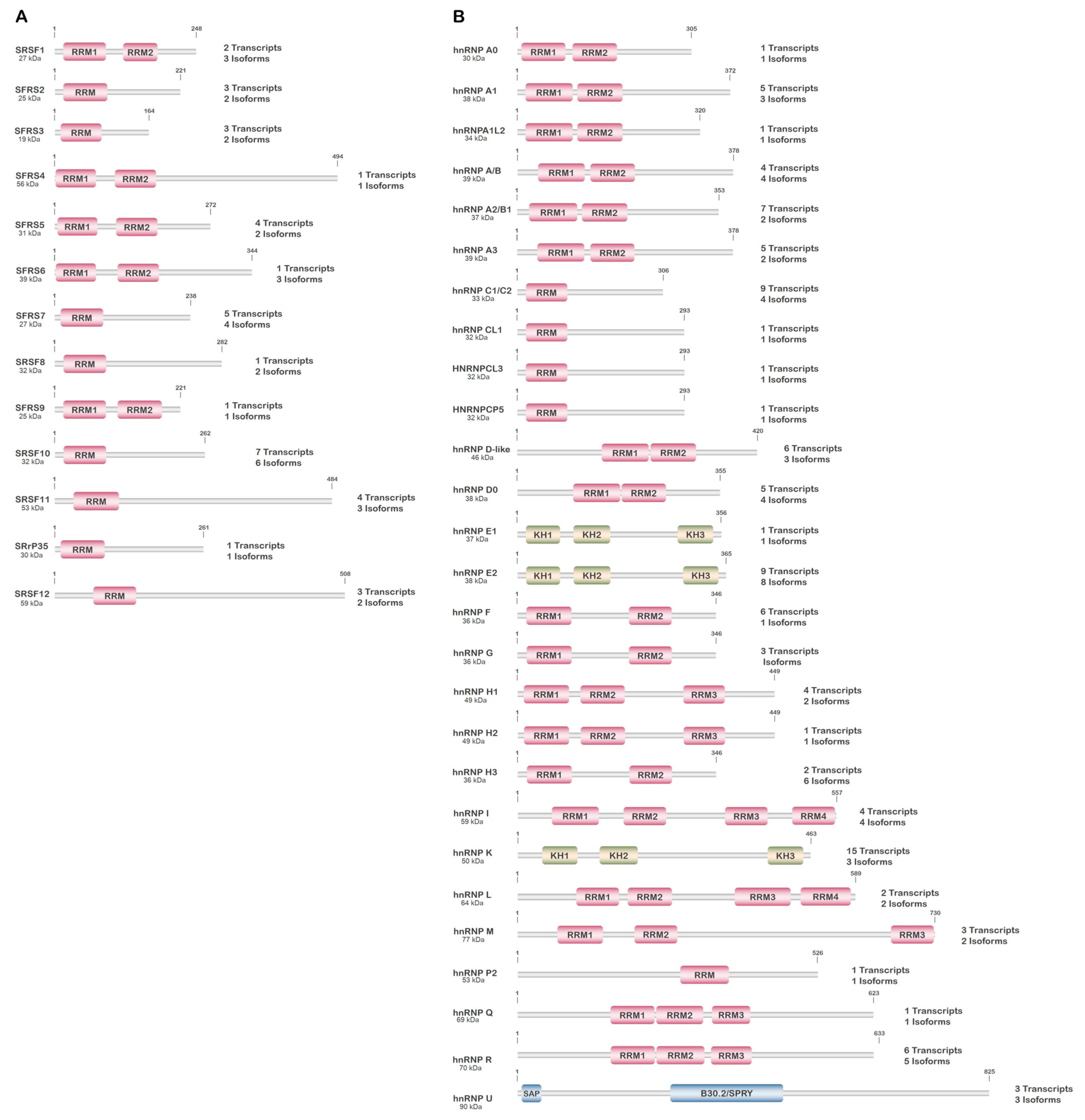 Genes 14 01386 g002 Genes 14 01386 g002