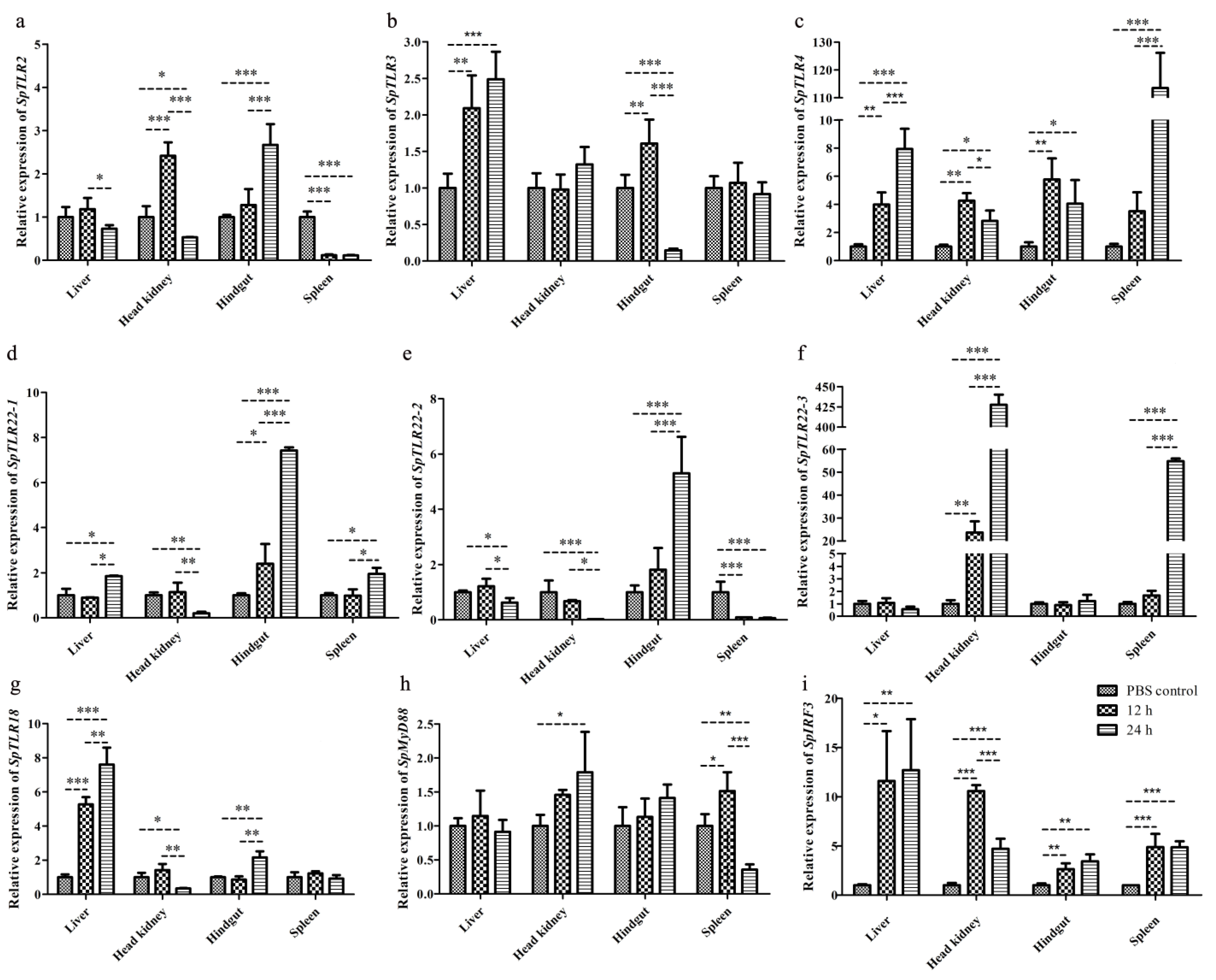 Genes 14 01388 g006 Genes 14 01388 g006