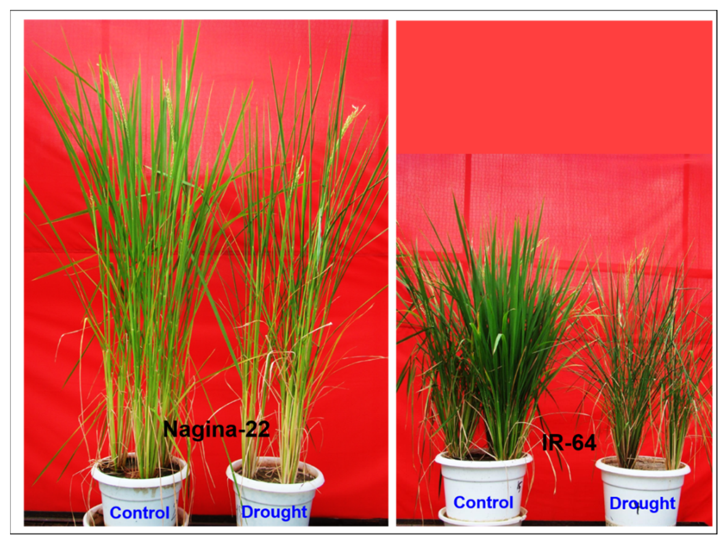 Genes 14 01390 g001 Genes 14 01390 g001