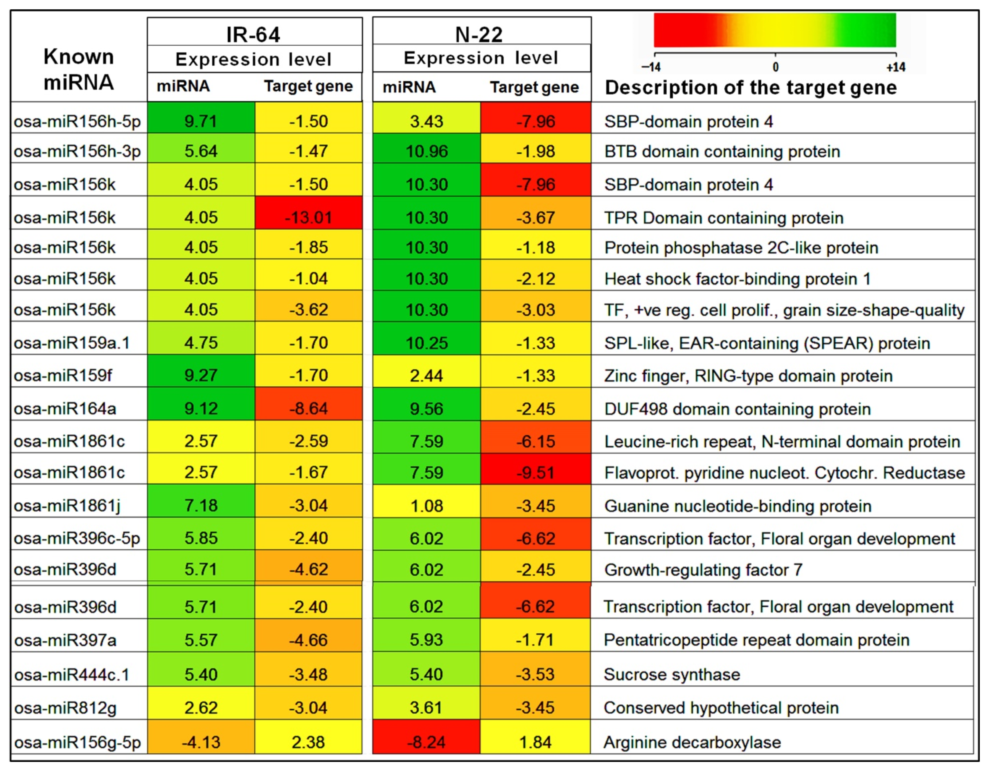 Genes 14 01390 g006 Genes 14 01390 g006
