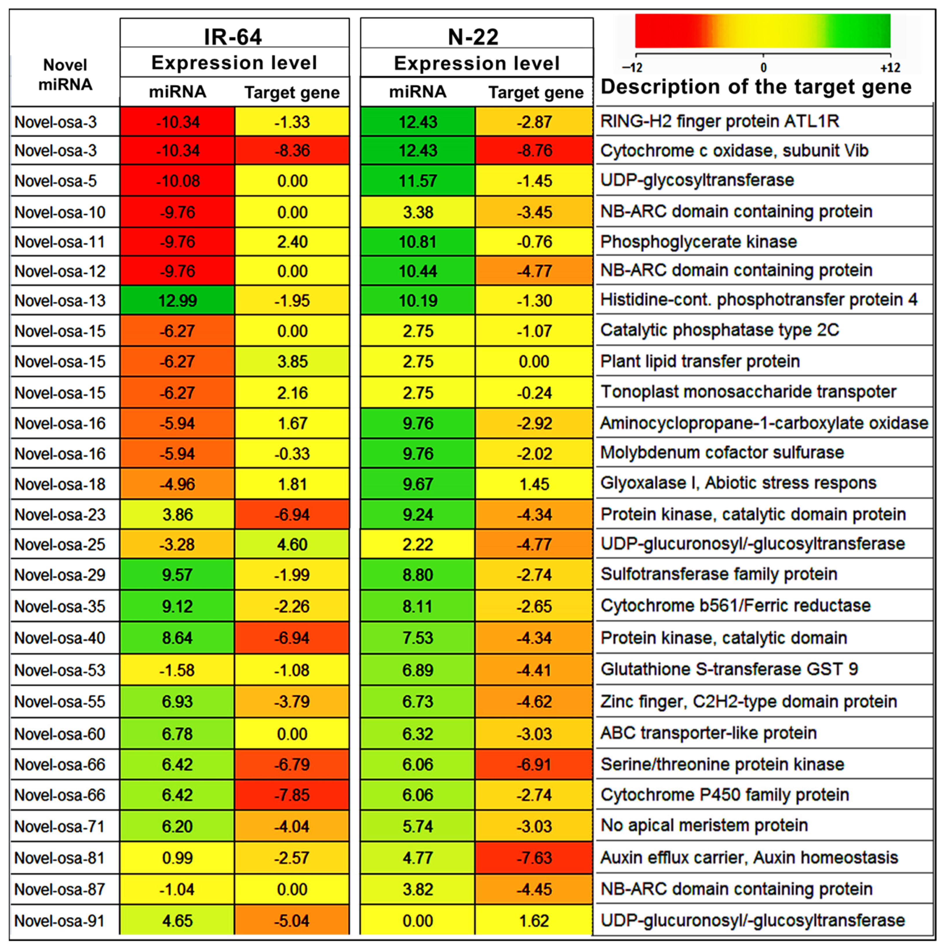 Genes 14 01390 g007 Genes 14 01390 g007