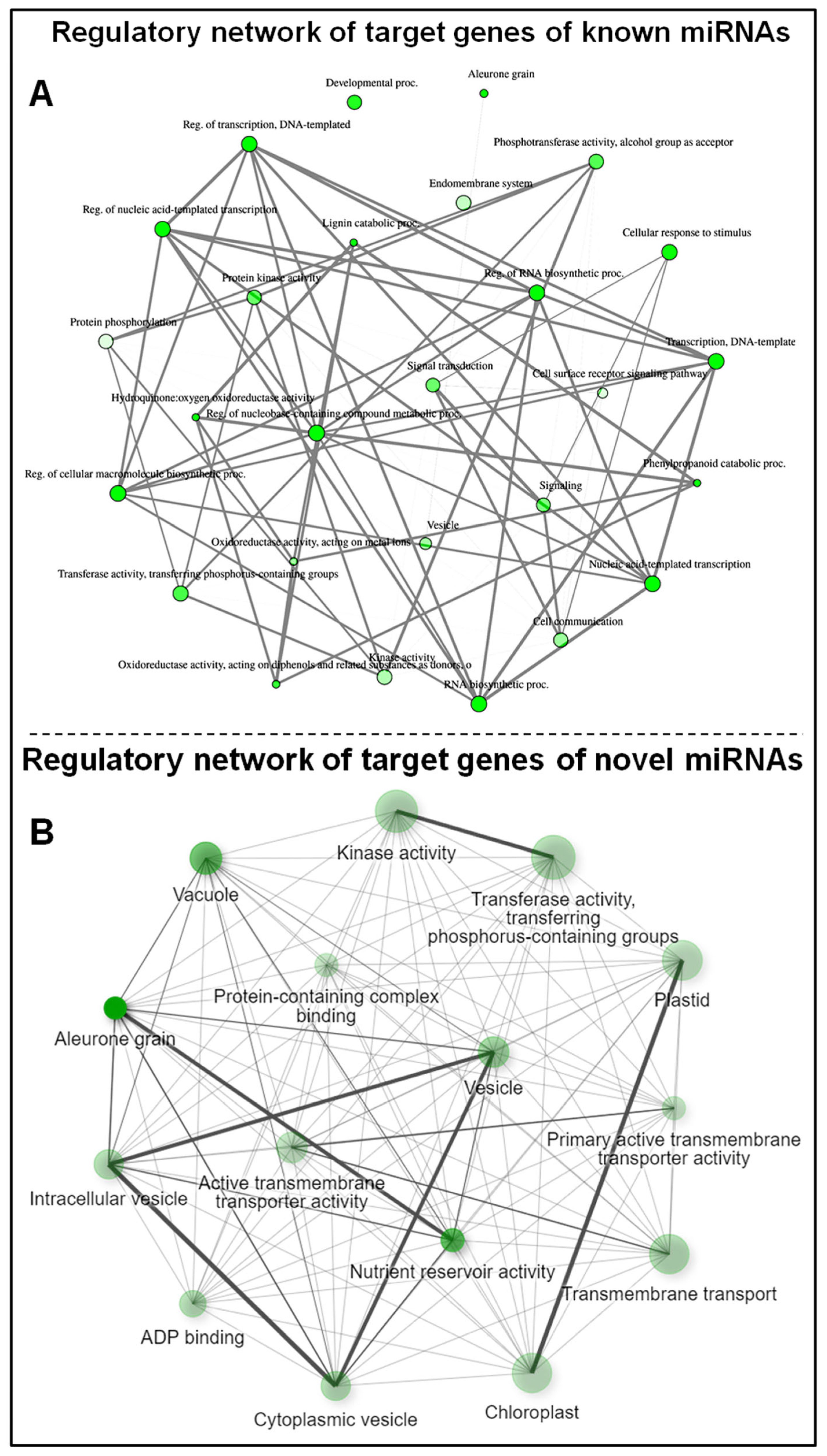 Genes 14 01390 g009 Genes 14 01390 g009