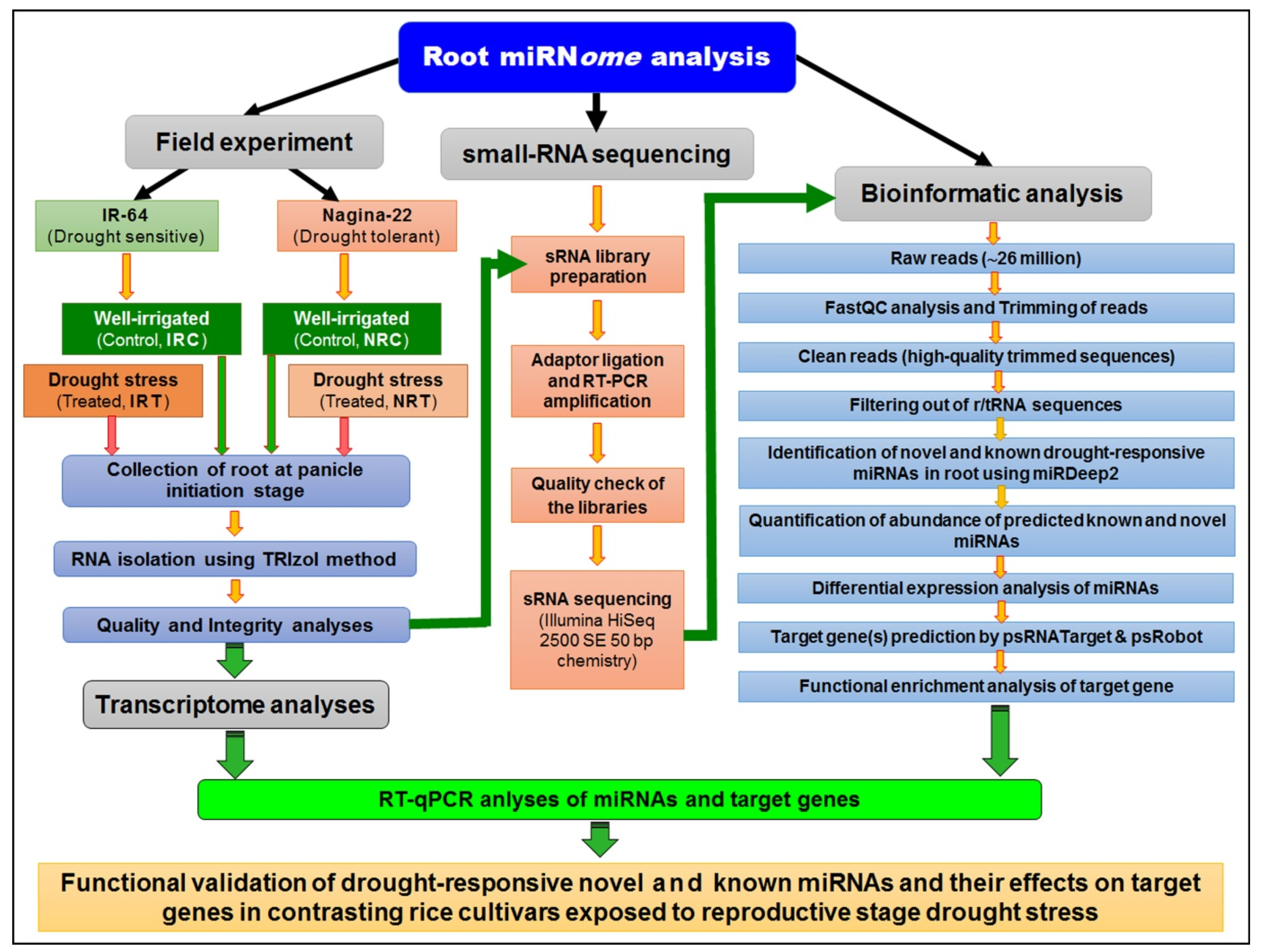 Genes 14 01390 g012 Genes 14 01390 g012