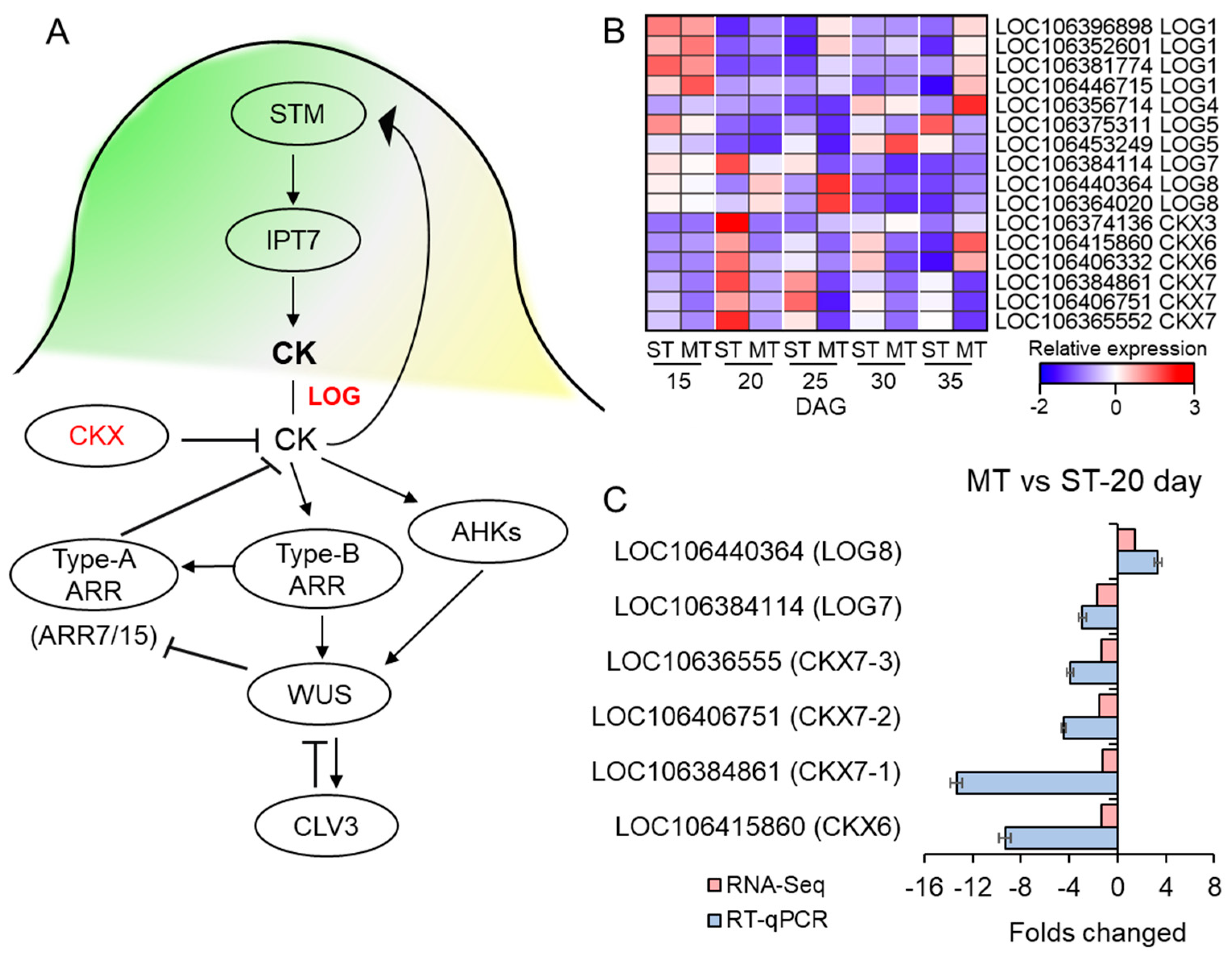 Genes 14 01396 g005