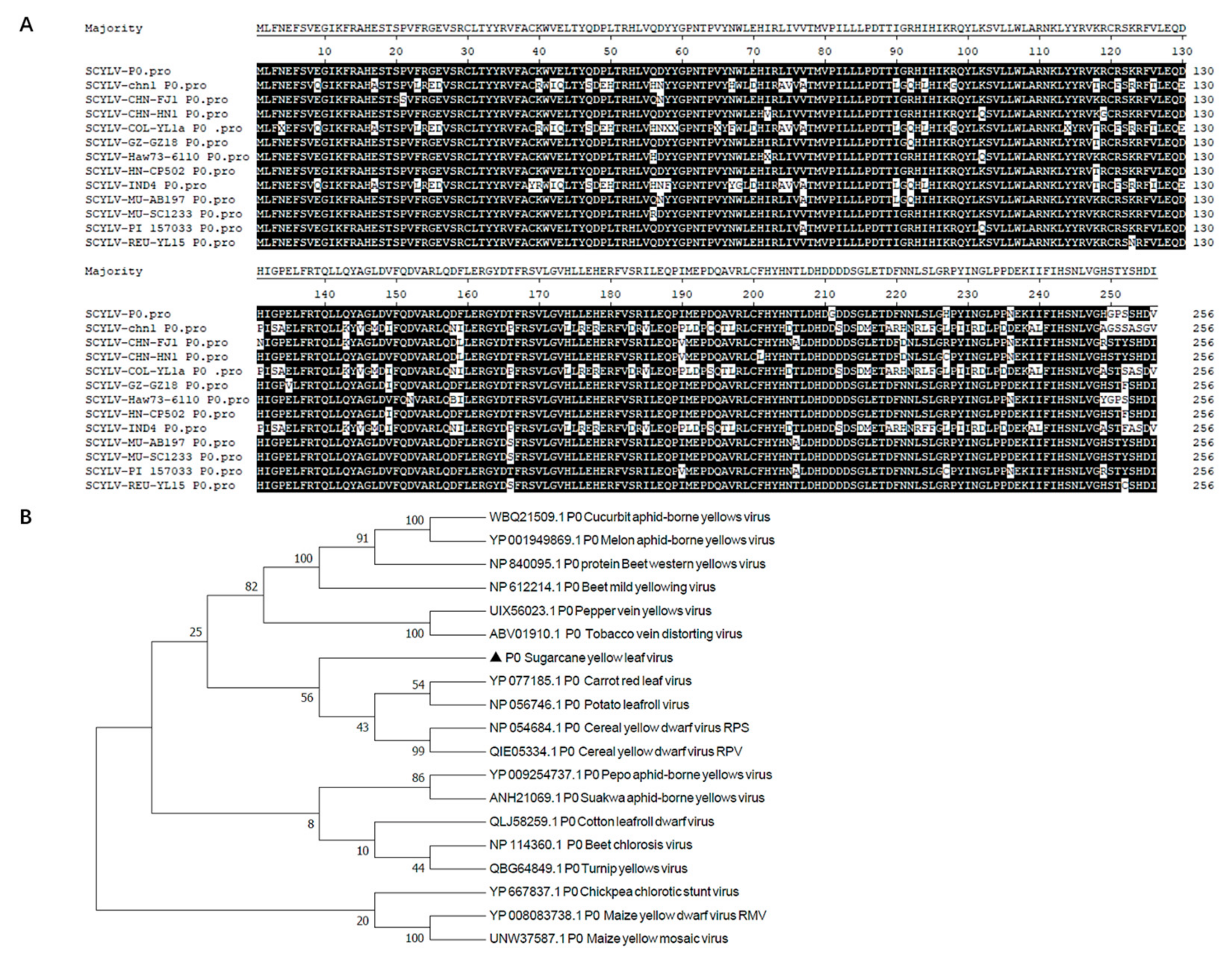 Genes 14 01397 g001 Genes 14 01397 g001