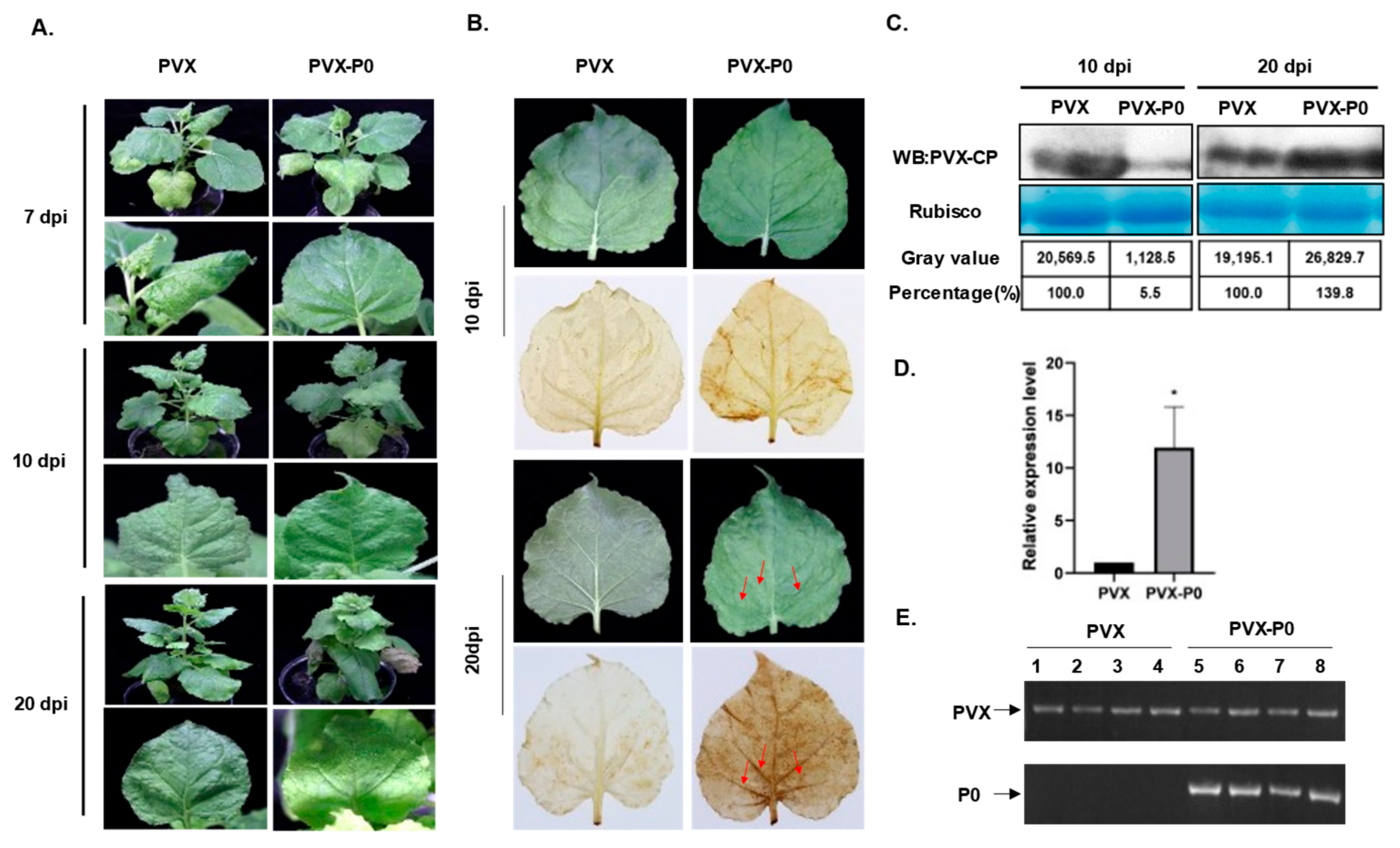 Genes 14 01397 g002 Genes 14 01397 g002
