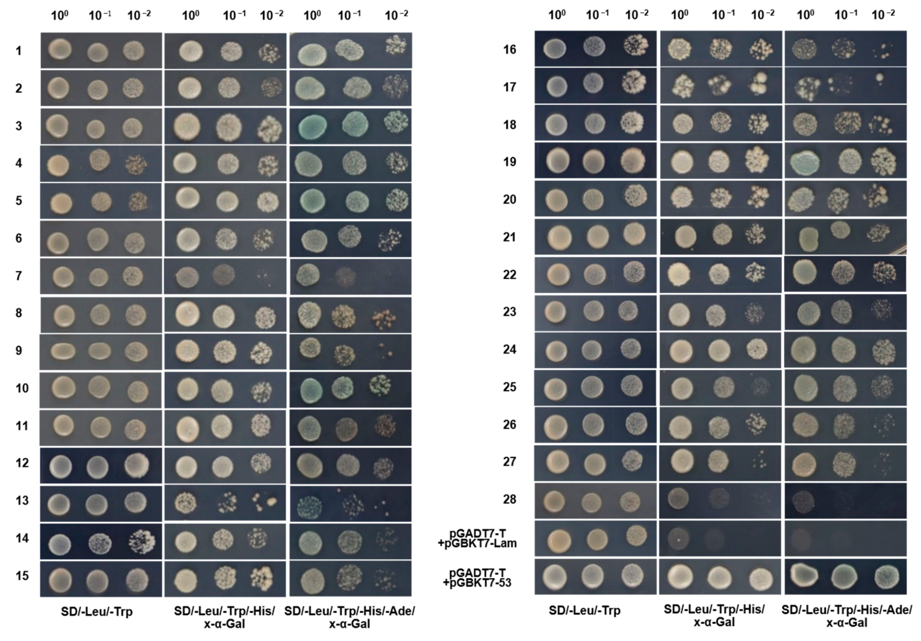 Genes 14 01397 g004 Genes 14 01397 g004
