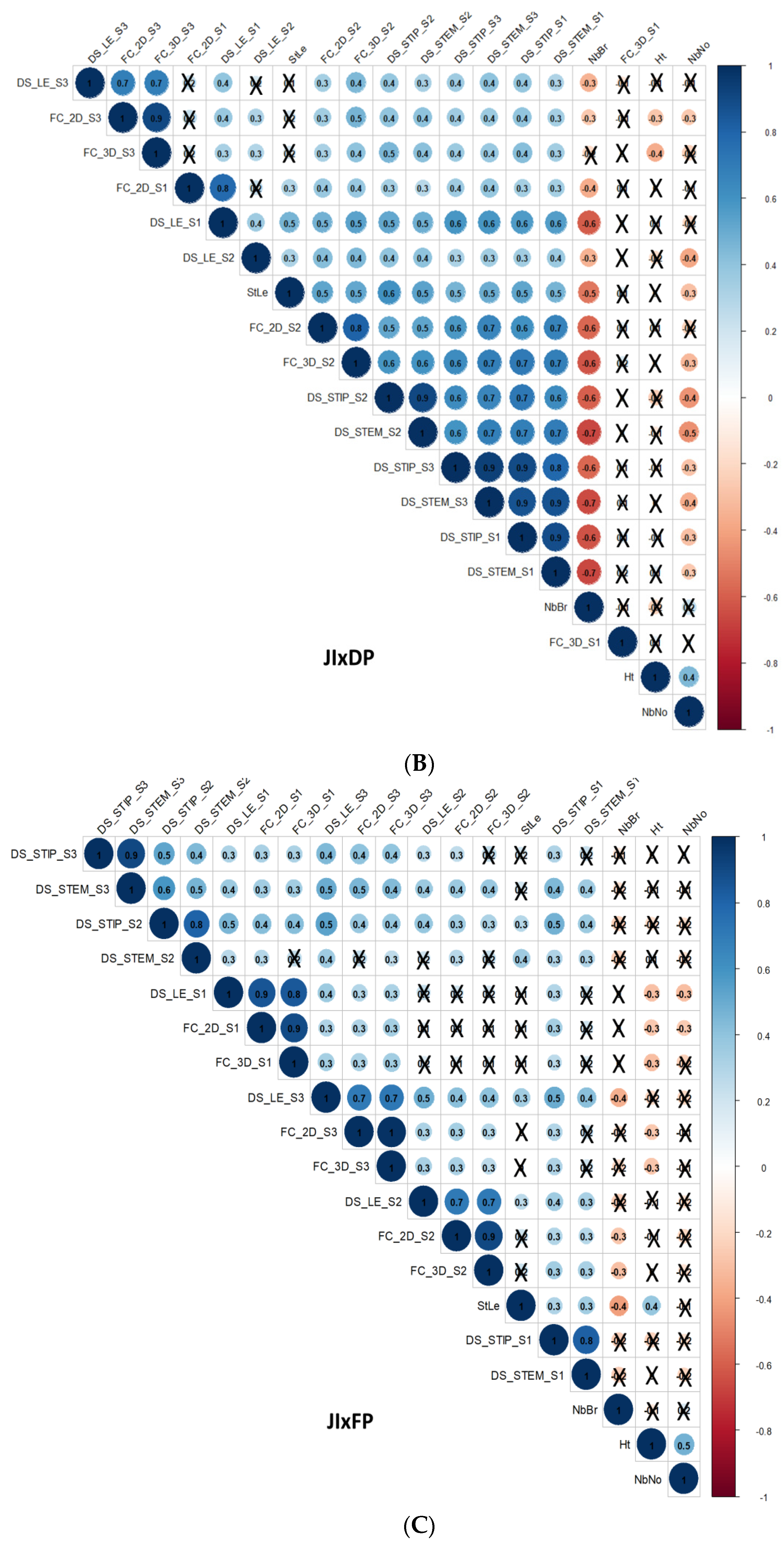 Genes 14 01399 g001b Genes 14 01399 g001b