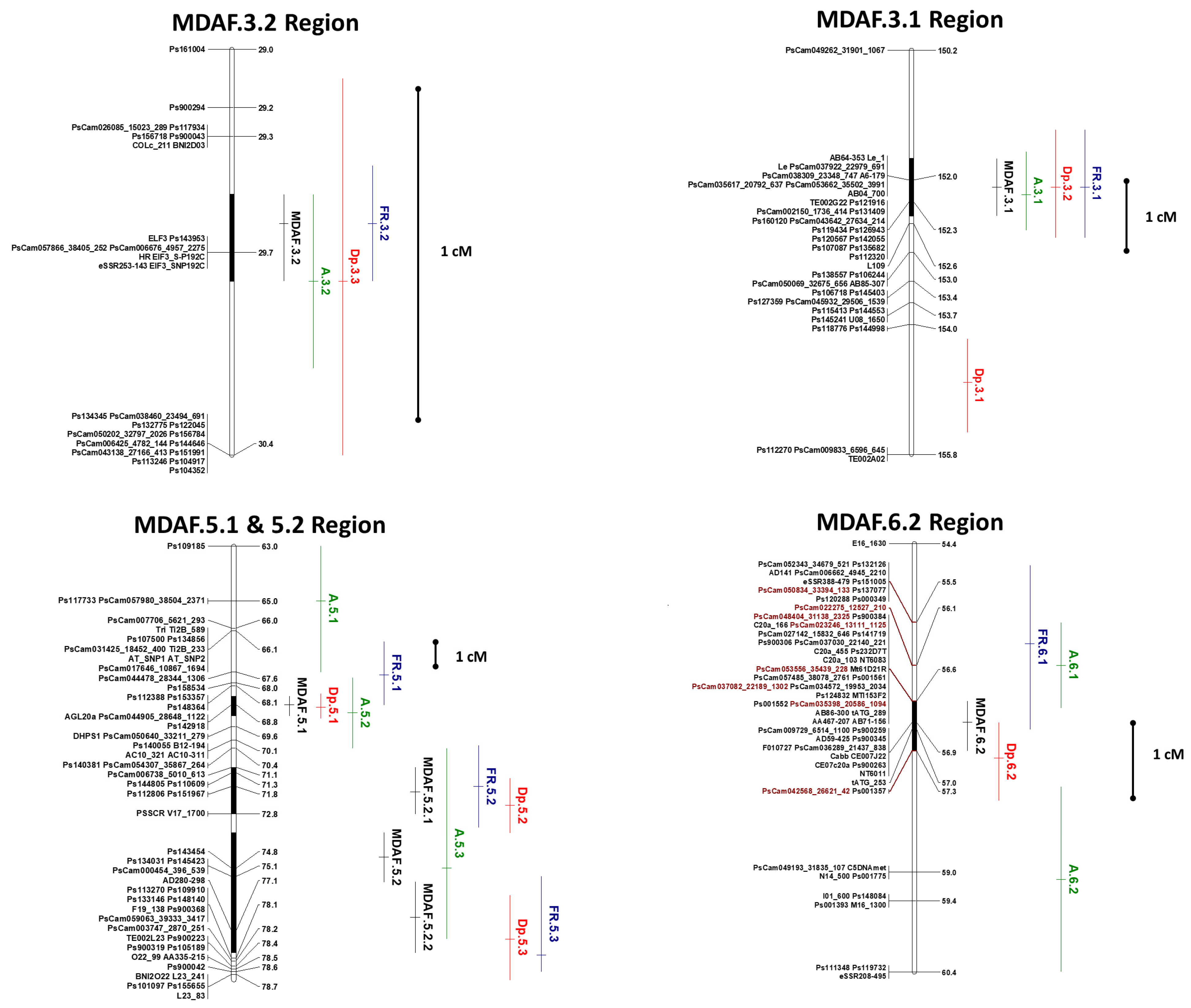 Genes 14 01399 g002 Genes 14 01399 g002