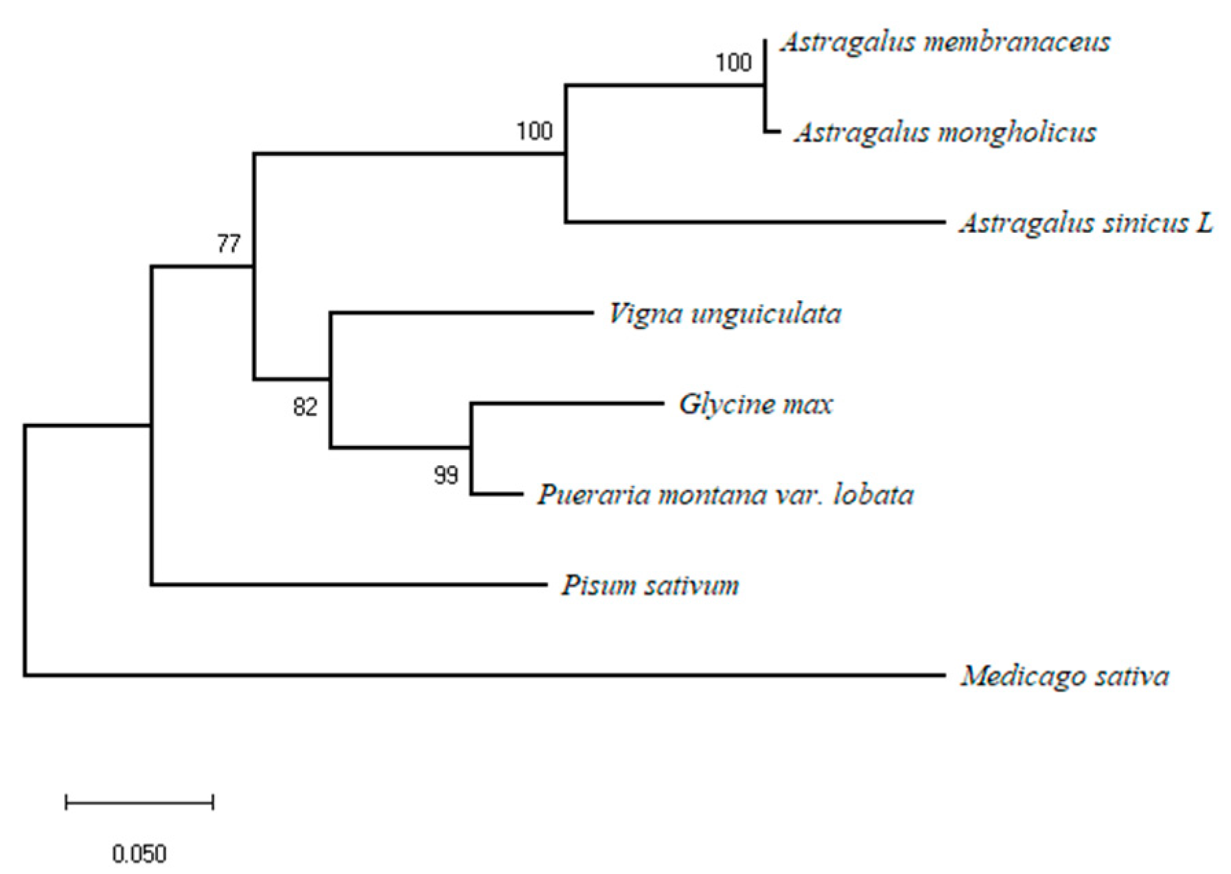 Genes 14 01400 g001
