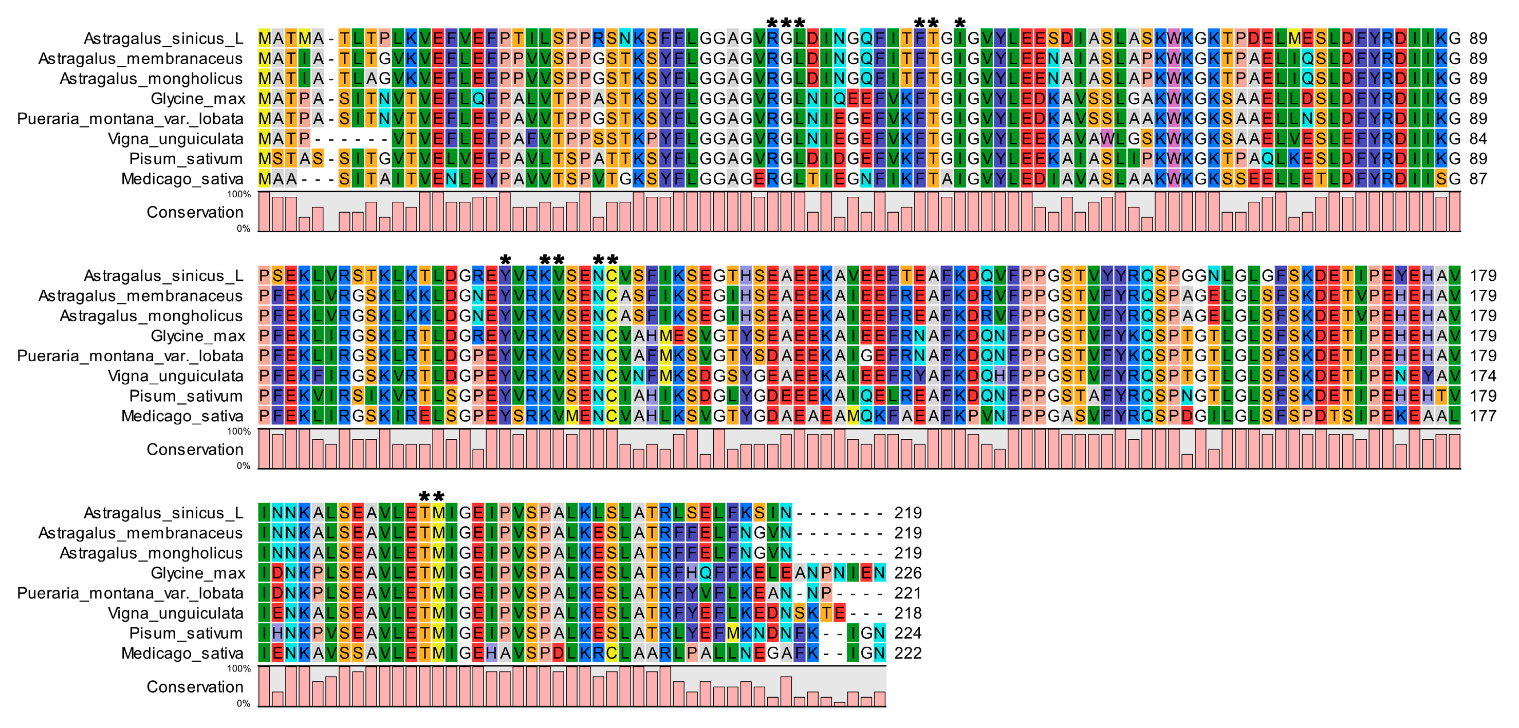 Genes 14 01400 g002