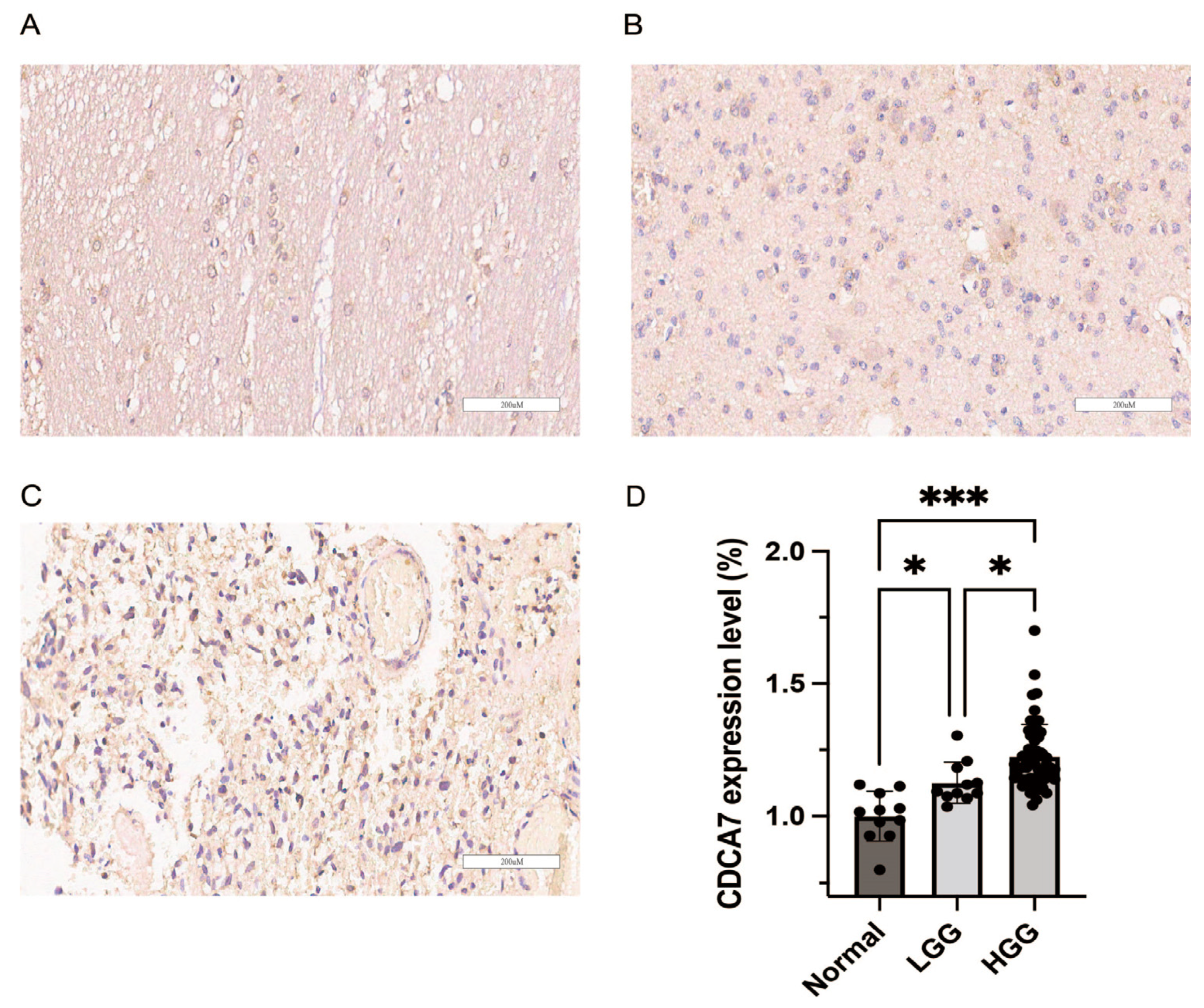 Genes 14 01406 g002 Genes 14 01406 g002