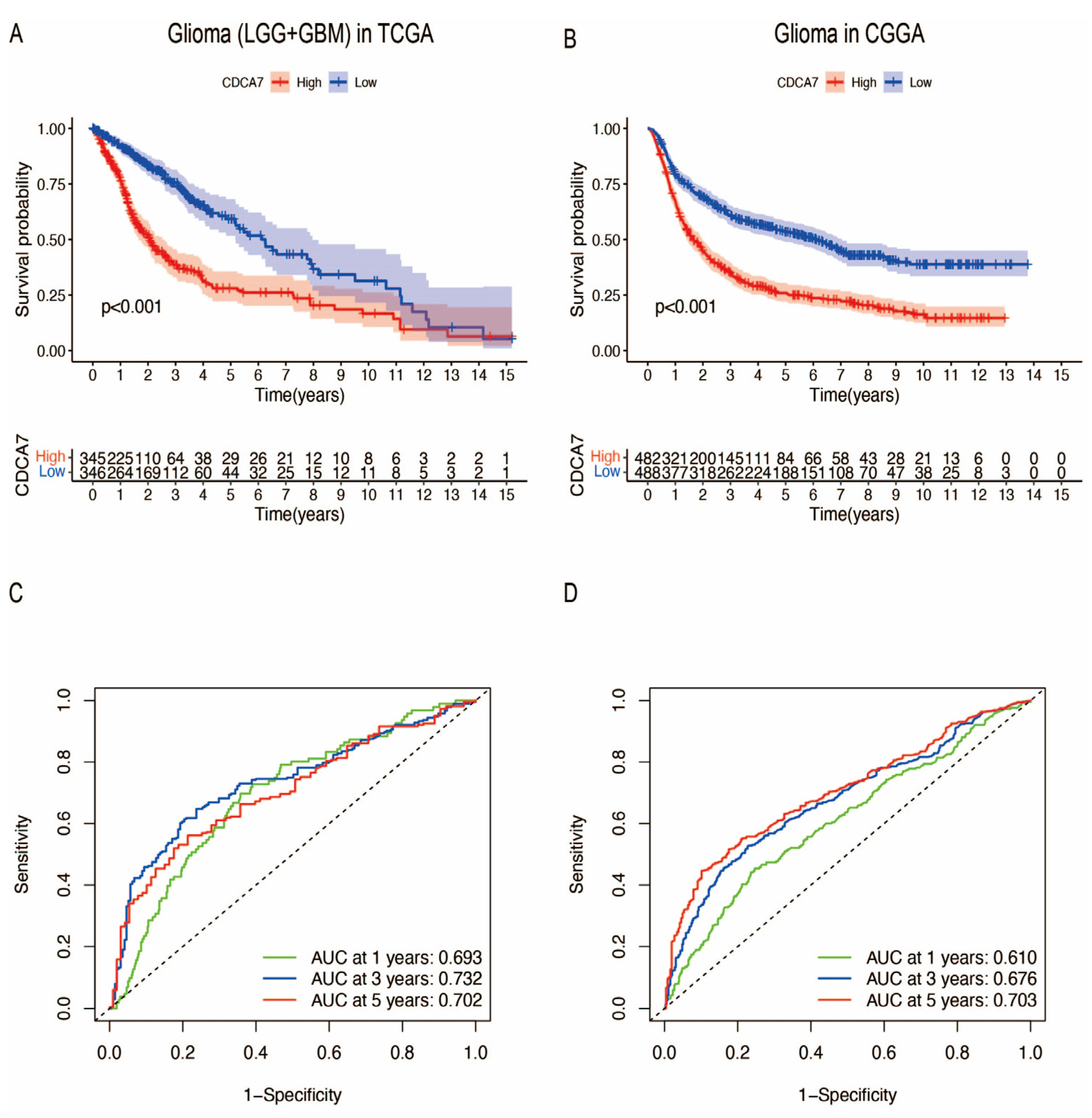 Genes 14 01406 g004 Genes 14 01406 g004