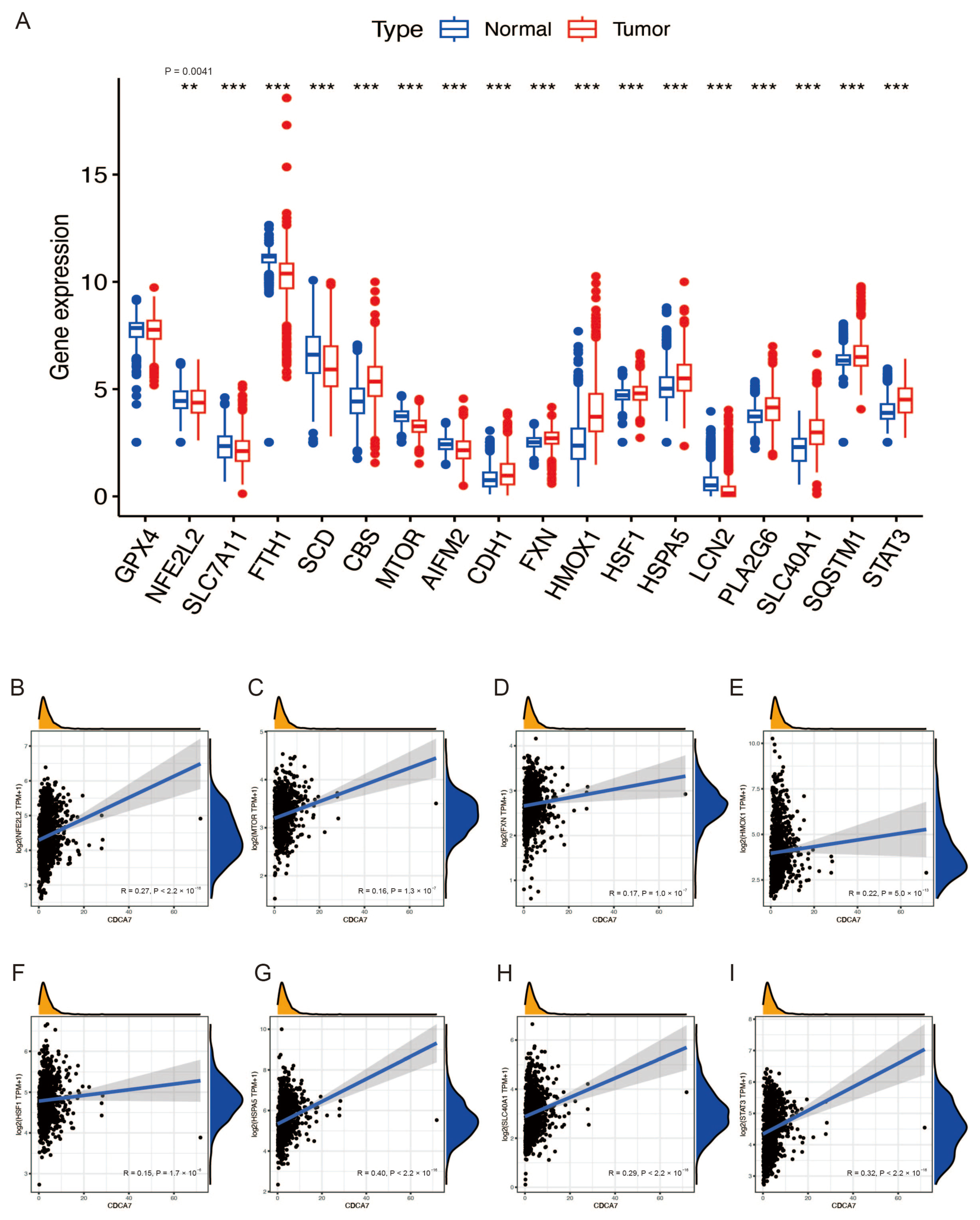 Genes 14 01406 g006 Genes 14 01406 g006