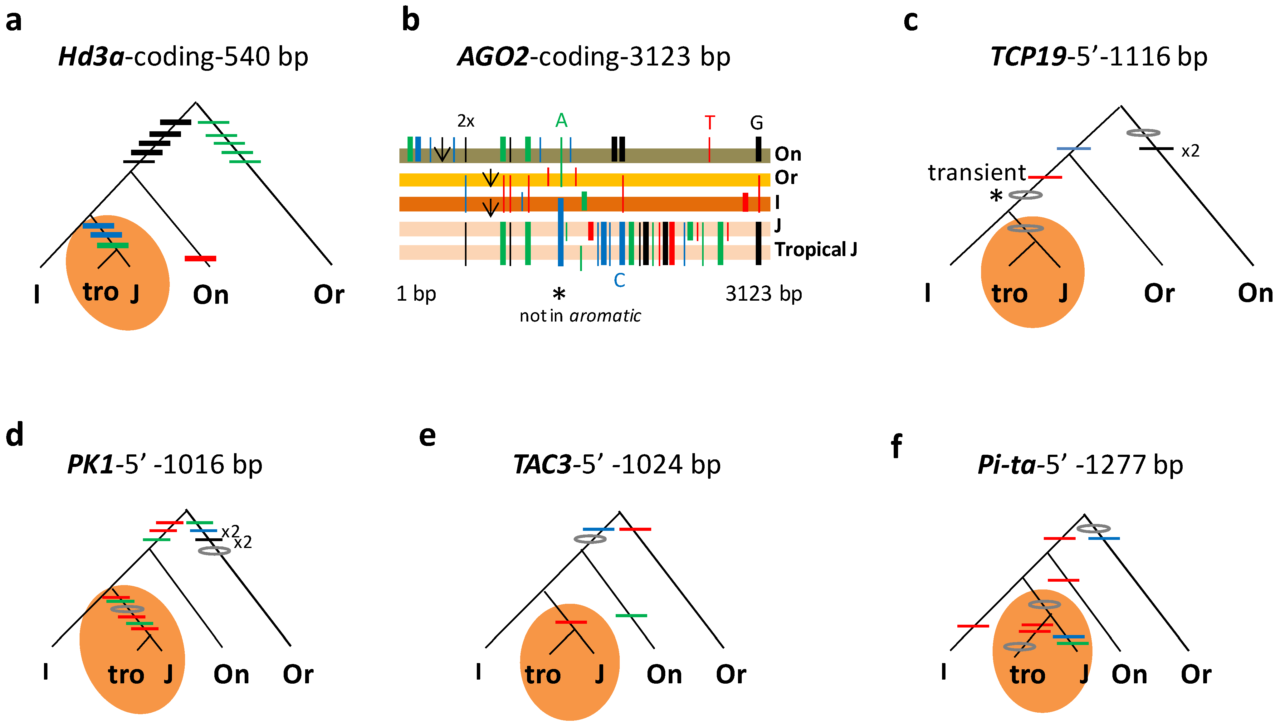 Genes 14 01412 g001 Genes 14 01412 g001