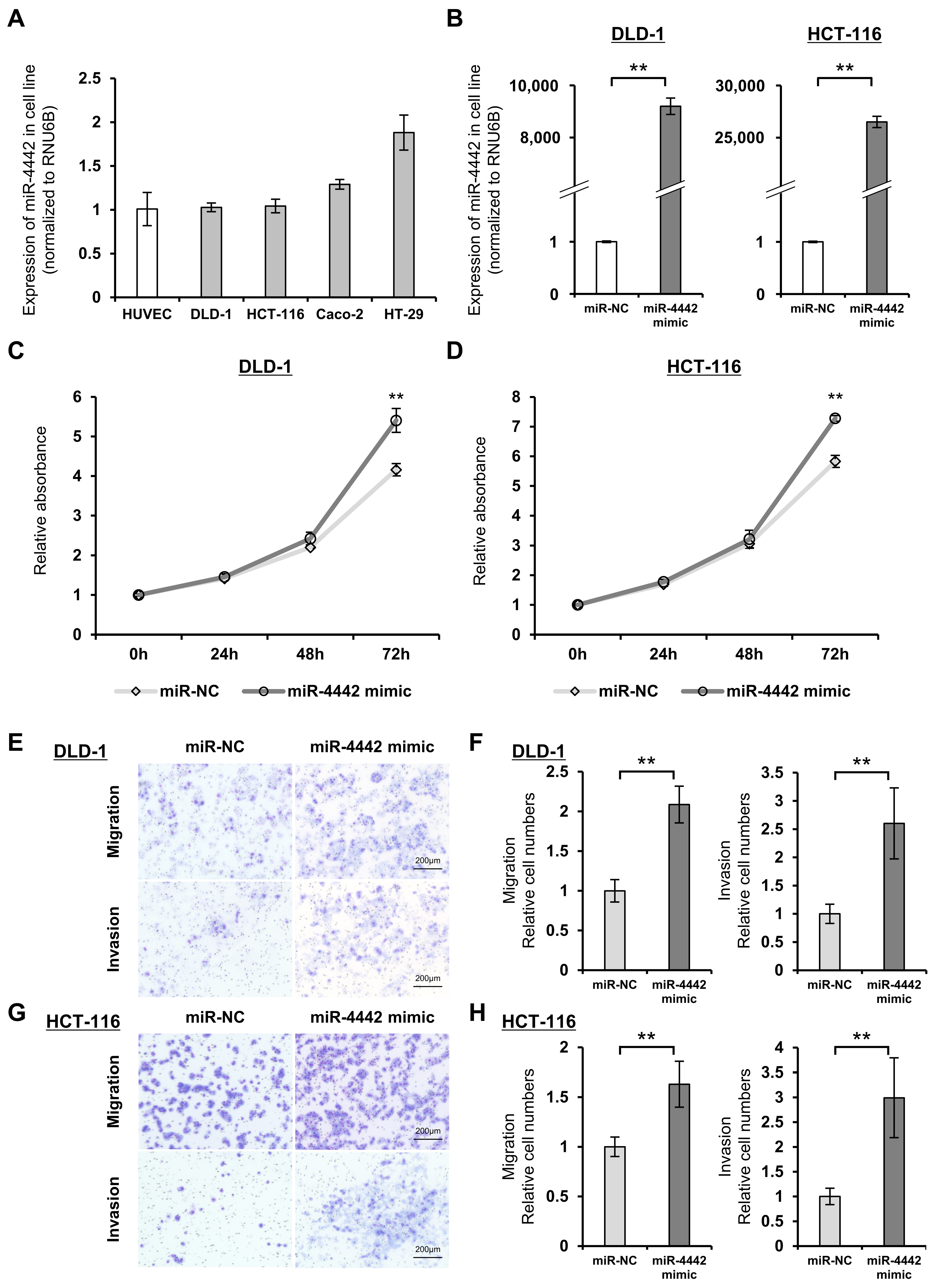 Genes 14 01414 g004 Genes 14 01414 g004