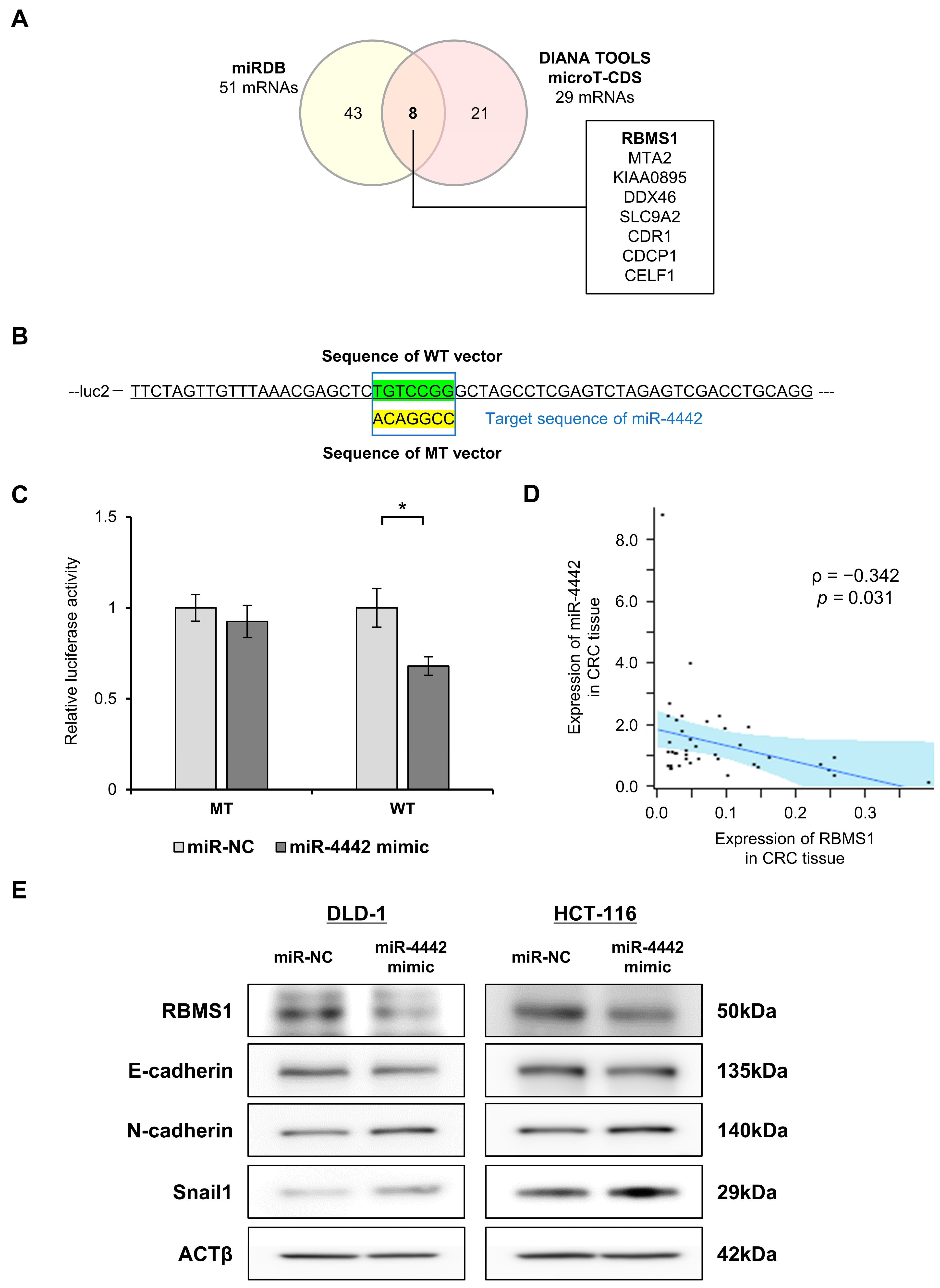 Genes 14 01414 g005 Genes 14 01414 g005