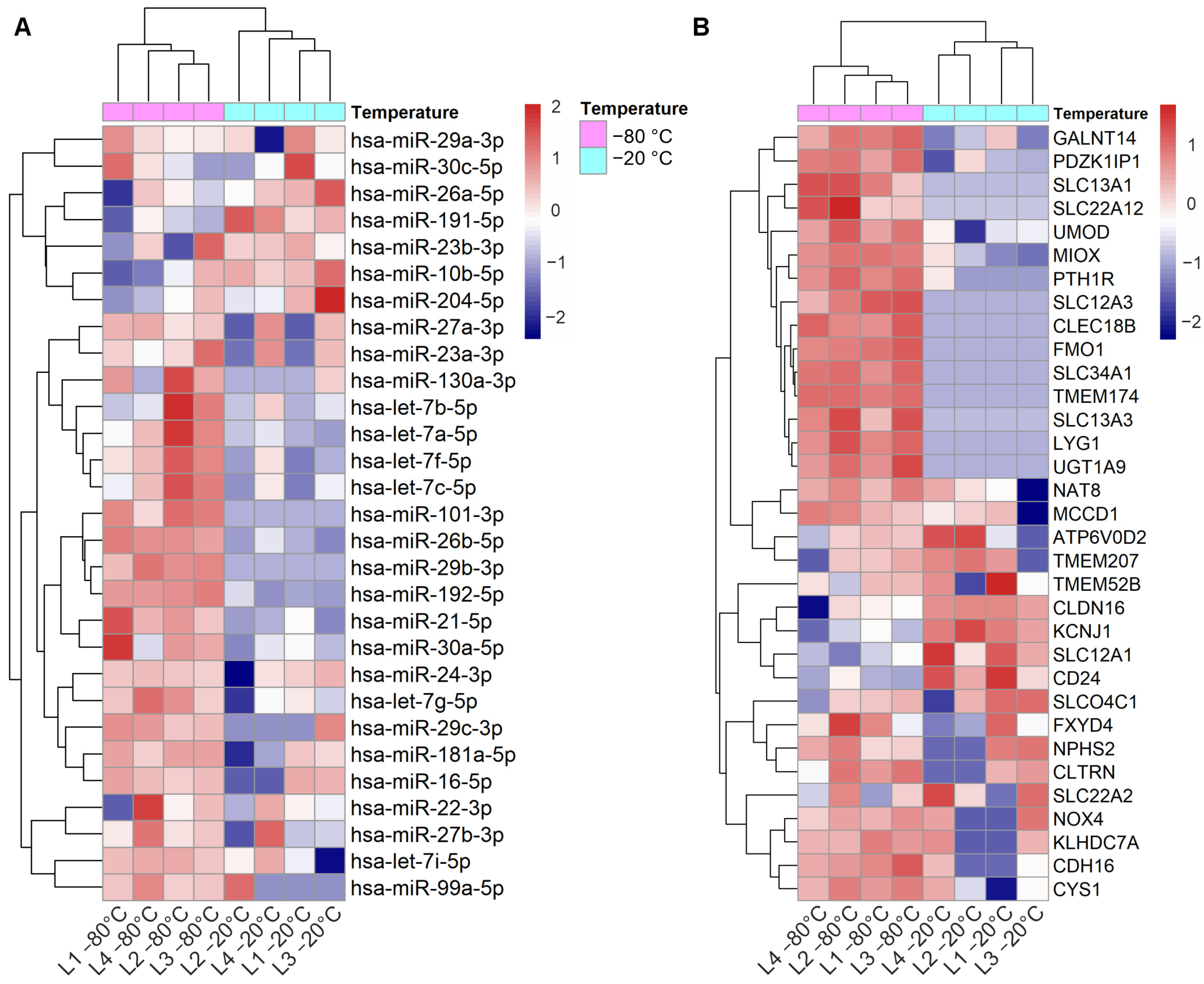 Genes Free FullText Capturing the Kidney Transcriptome by Urinary