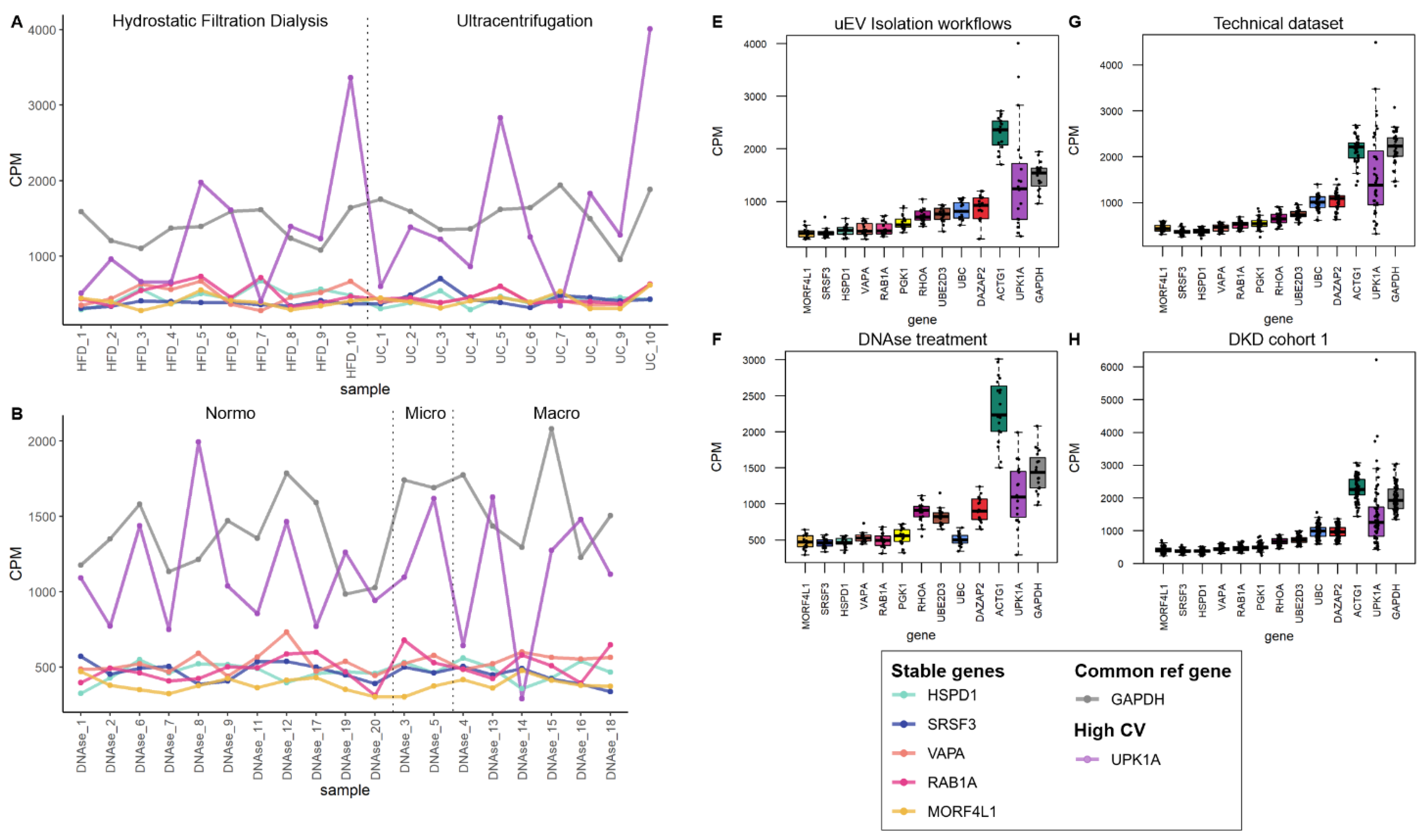 Genes 14 01415 g005a