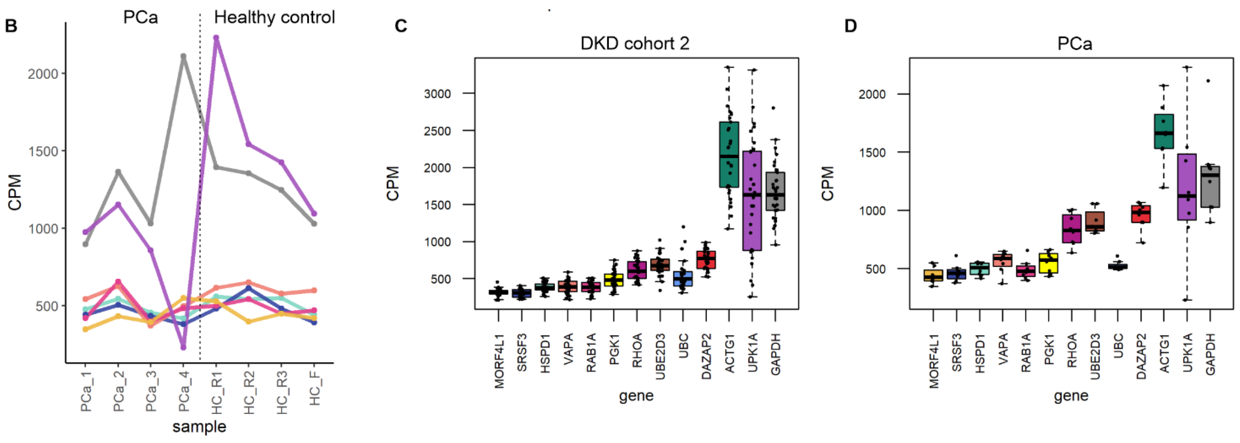 Genes 14 01415 g006b