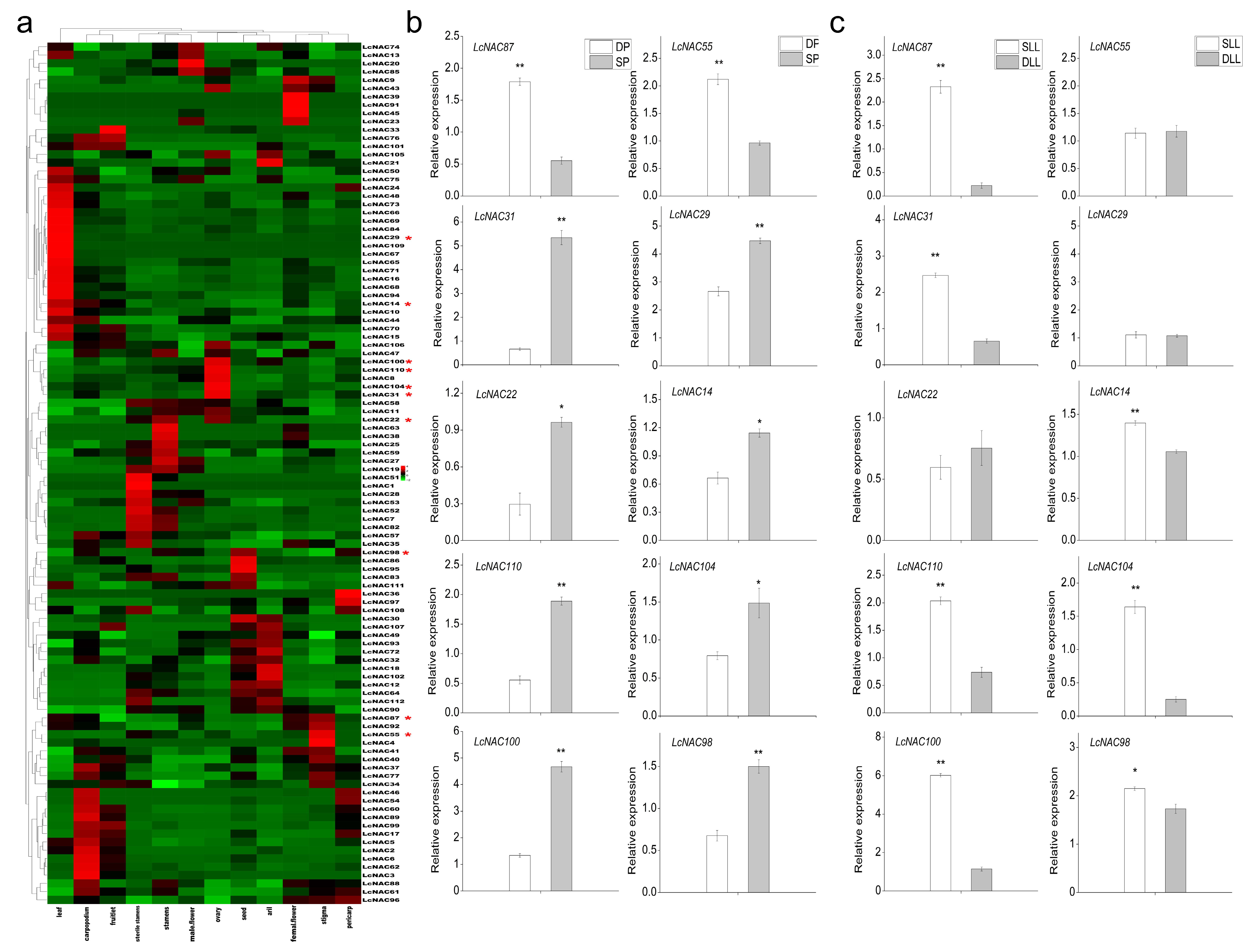 Genes 14 01416 g006 Genes 14 01416 g006