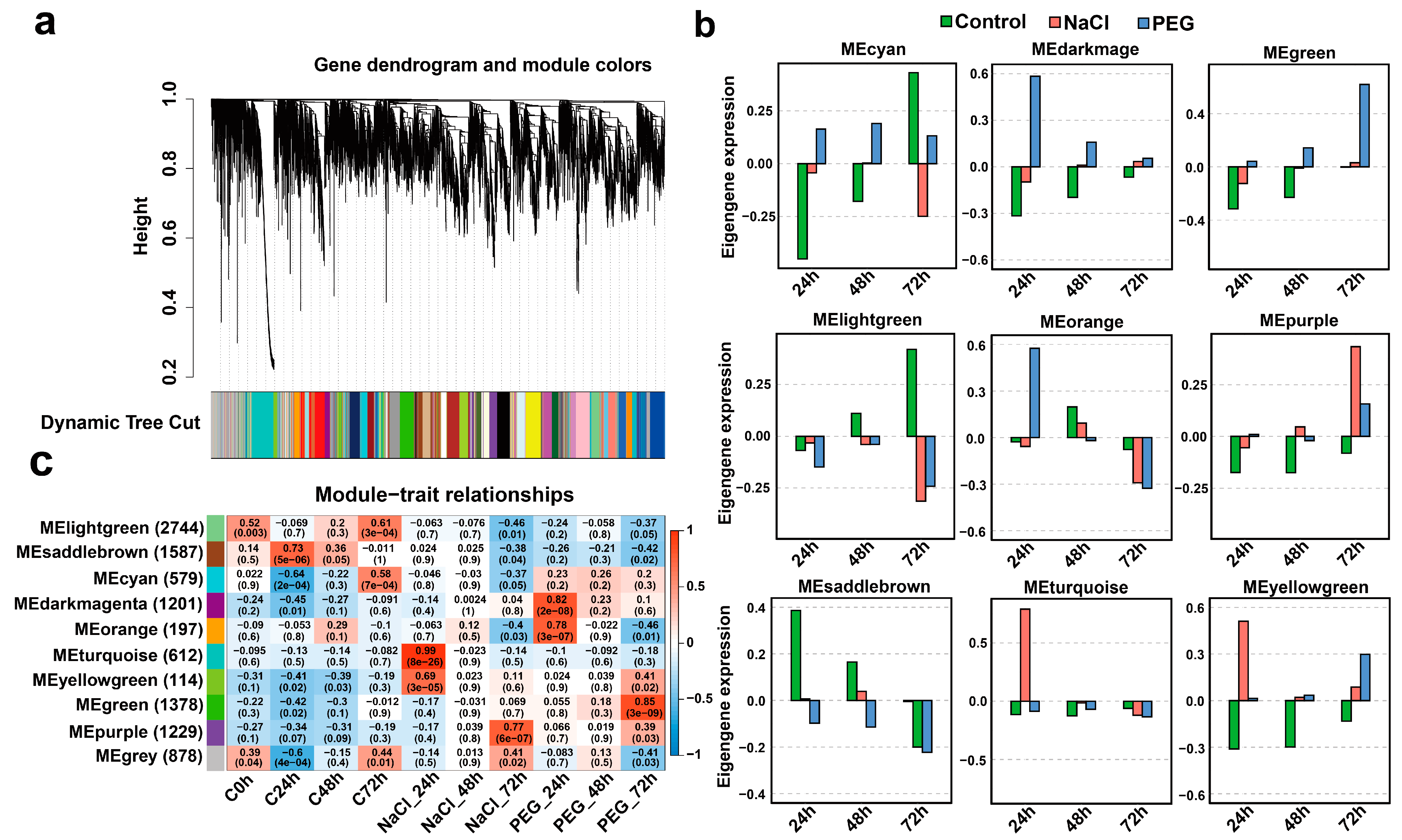 Genes 14 01417 g003 Genes 14 01417 g003