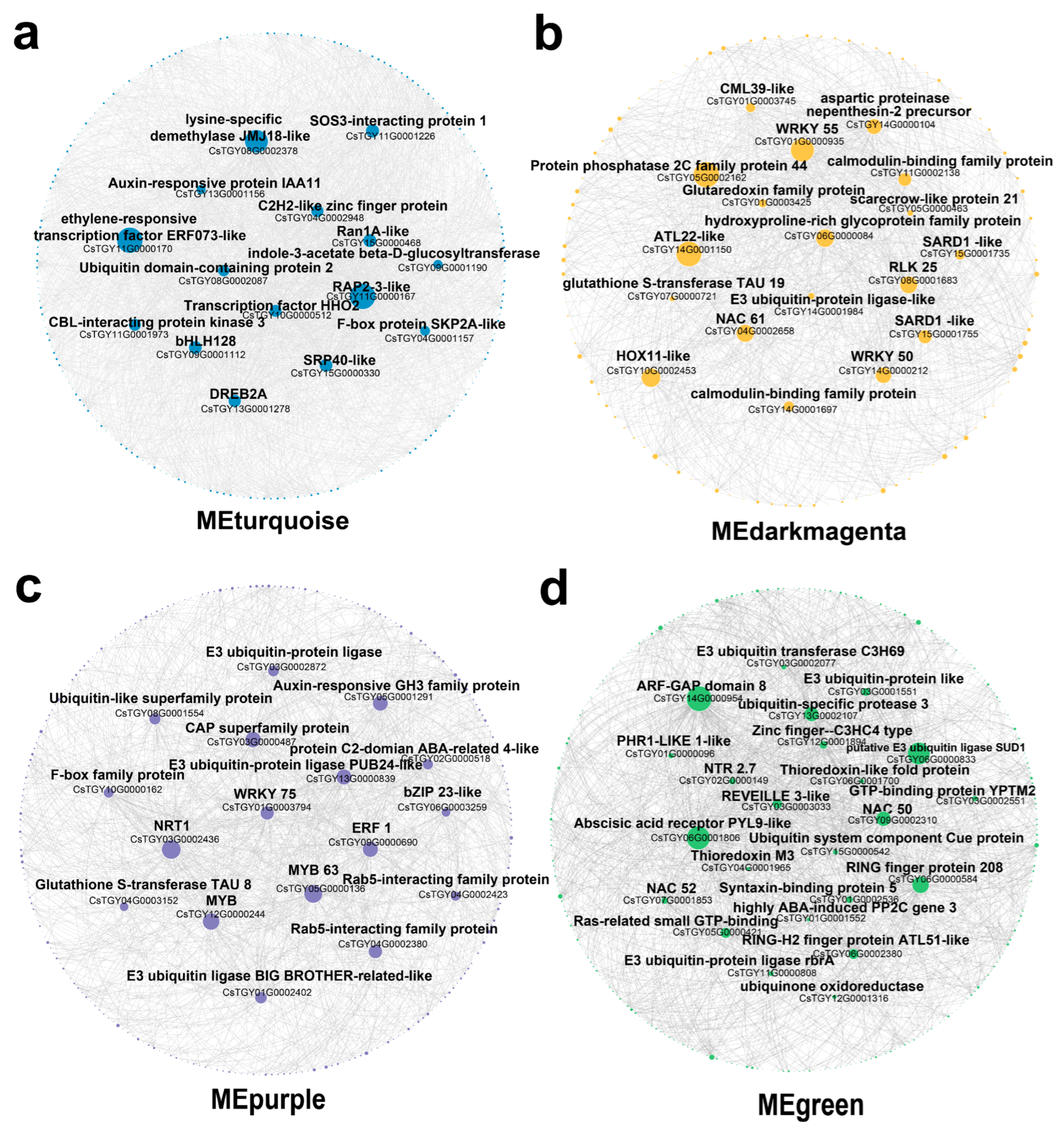 Genes 14 01417 g004 Genes 14 01417 g004