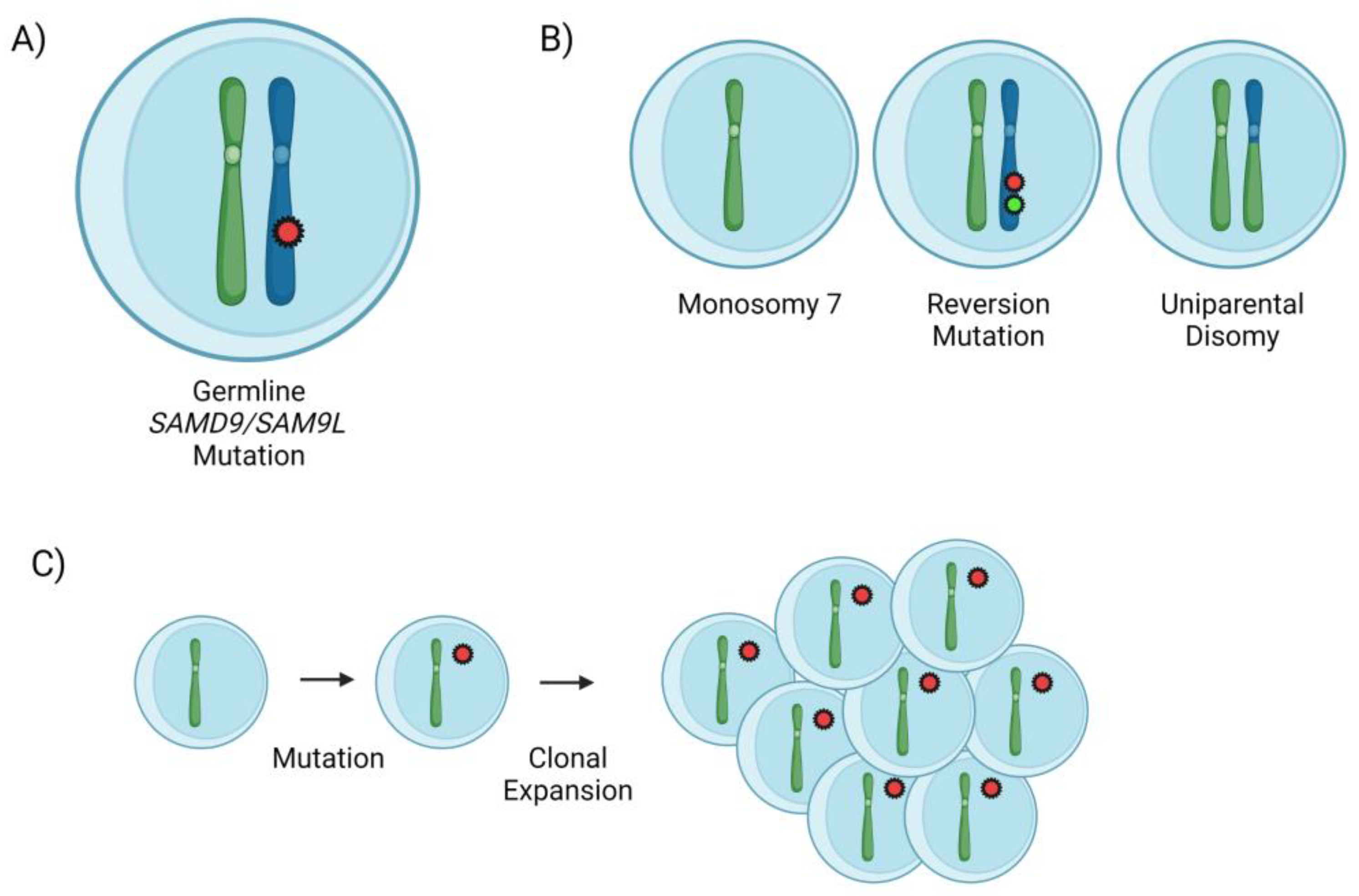 Genes 14 01424 g002 Genes 14 01424 g002