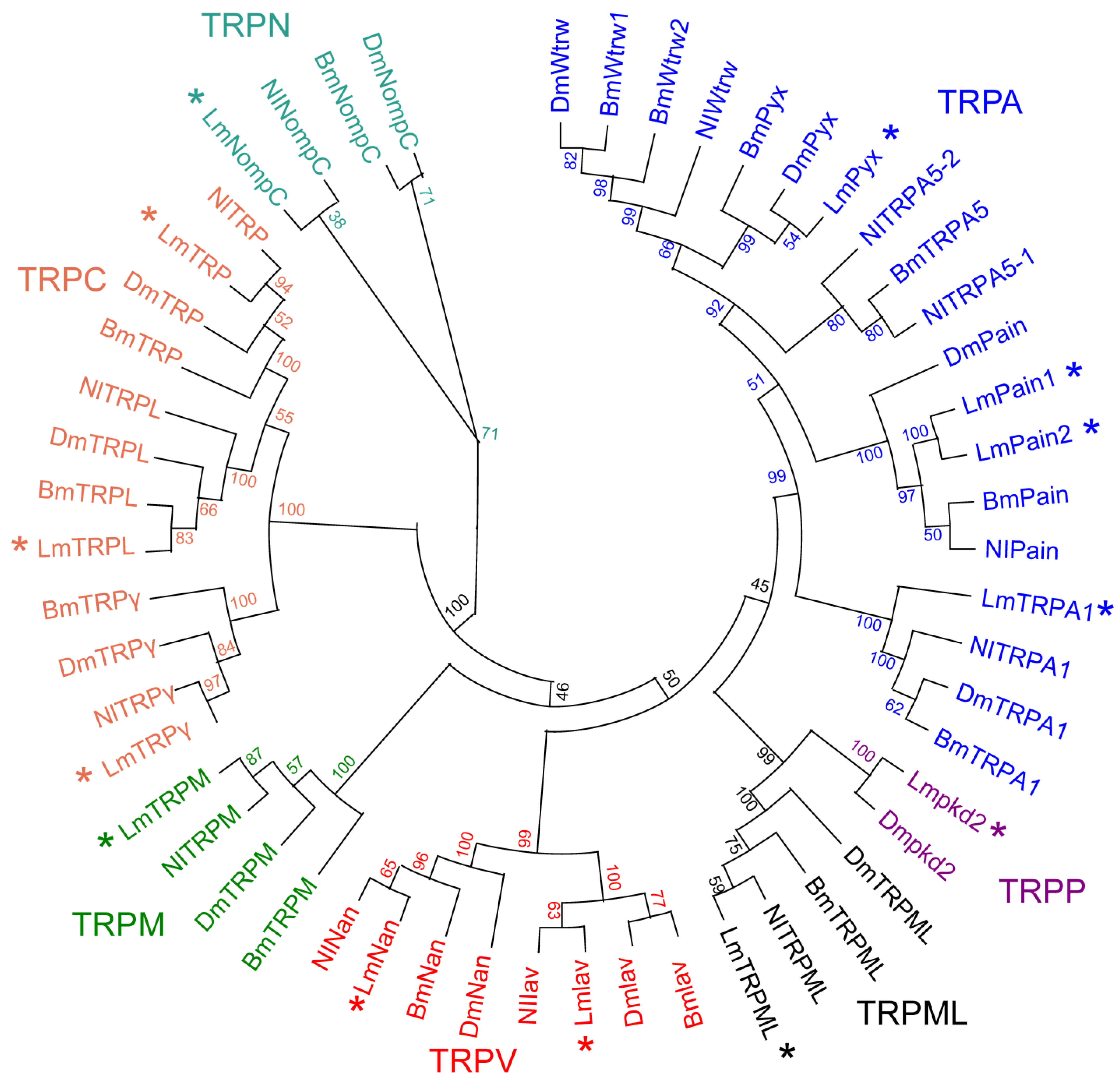Genes 14 01427 g001 Genes 14 01427 g001