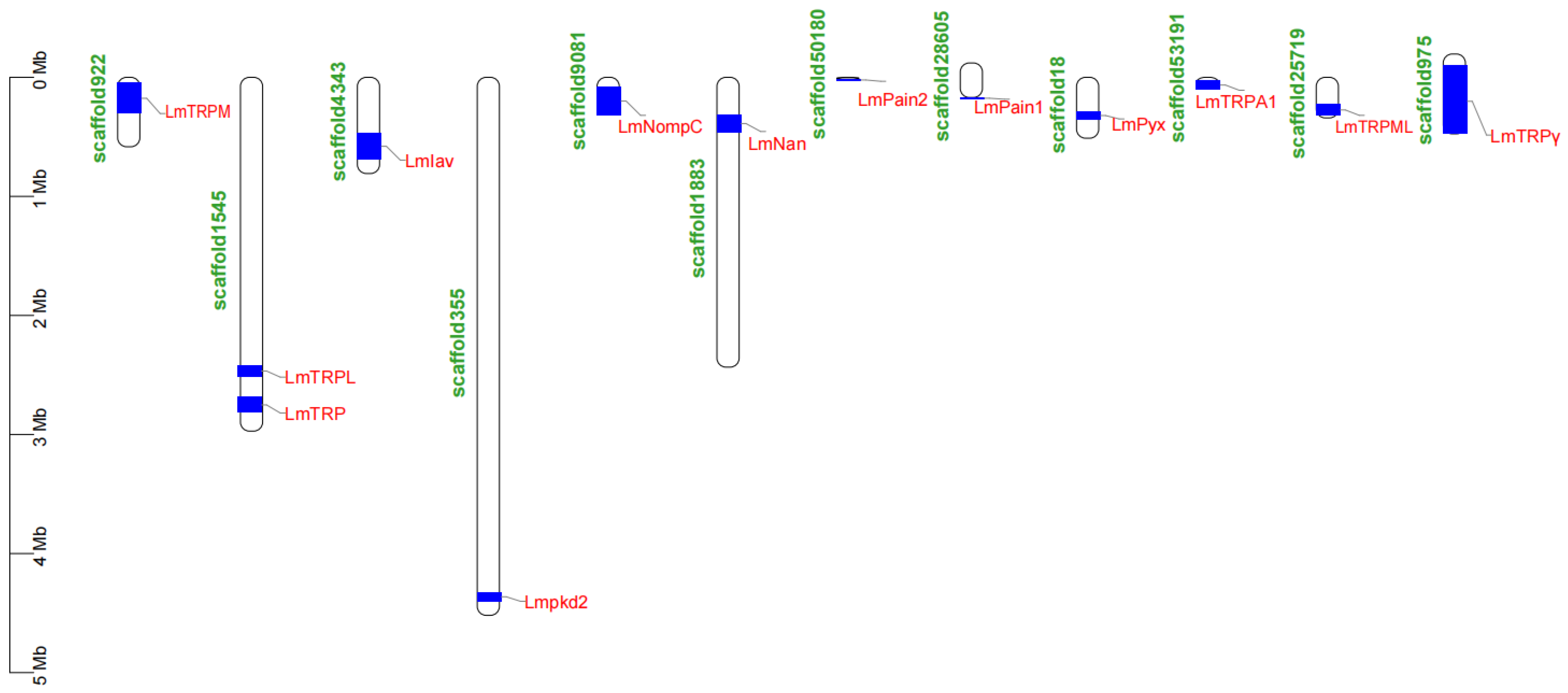 Genes 14 01427 g003 Genes 14 01427 g003