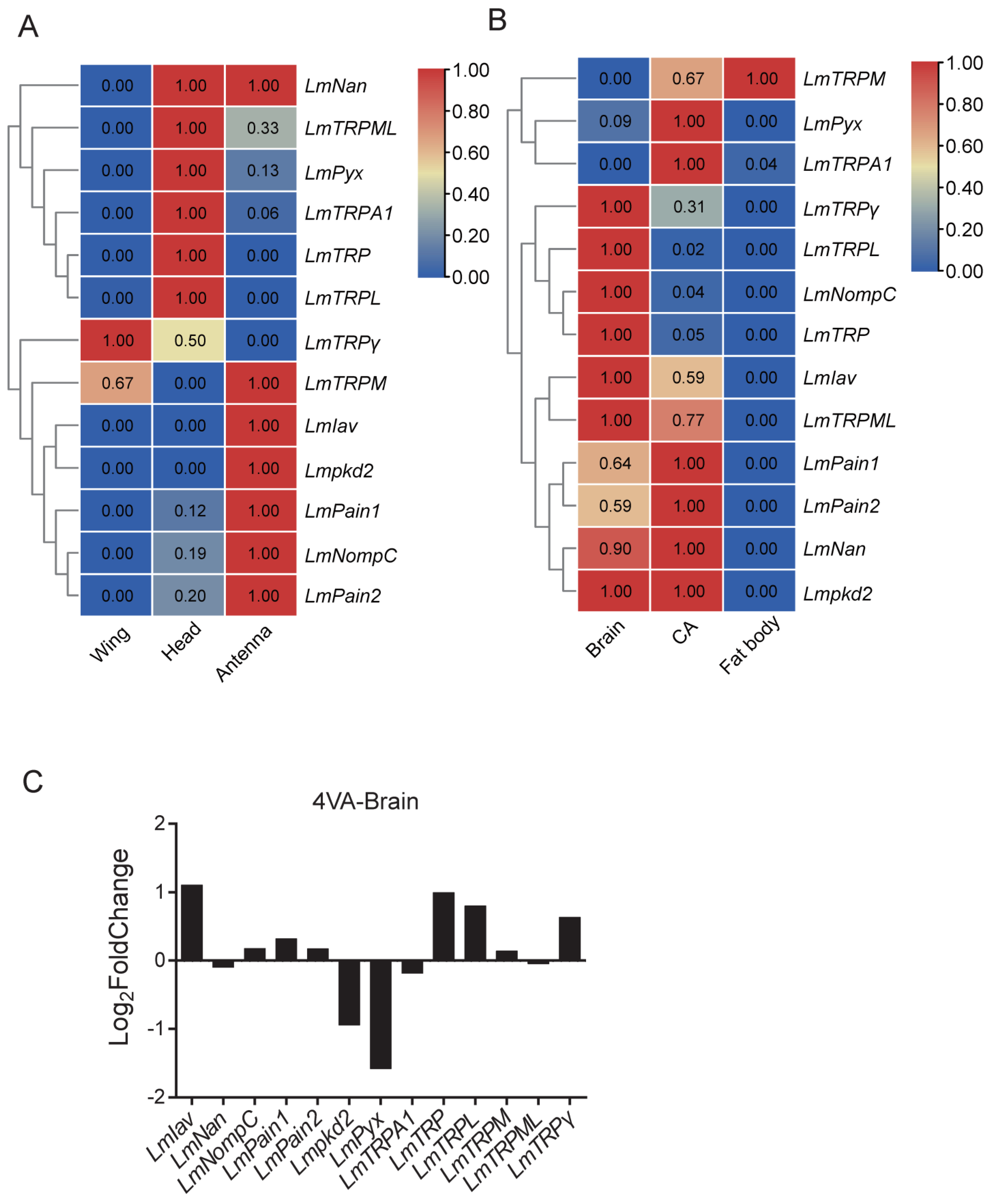 Genes 14 01427 g004 Genes 14 01427 g004