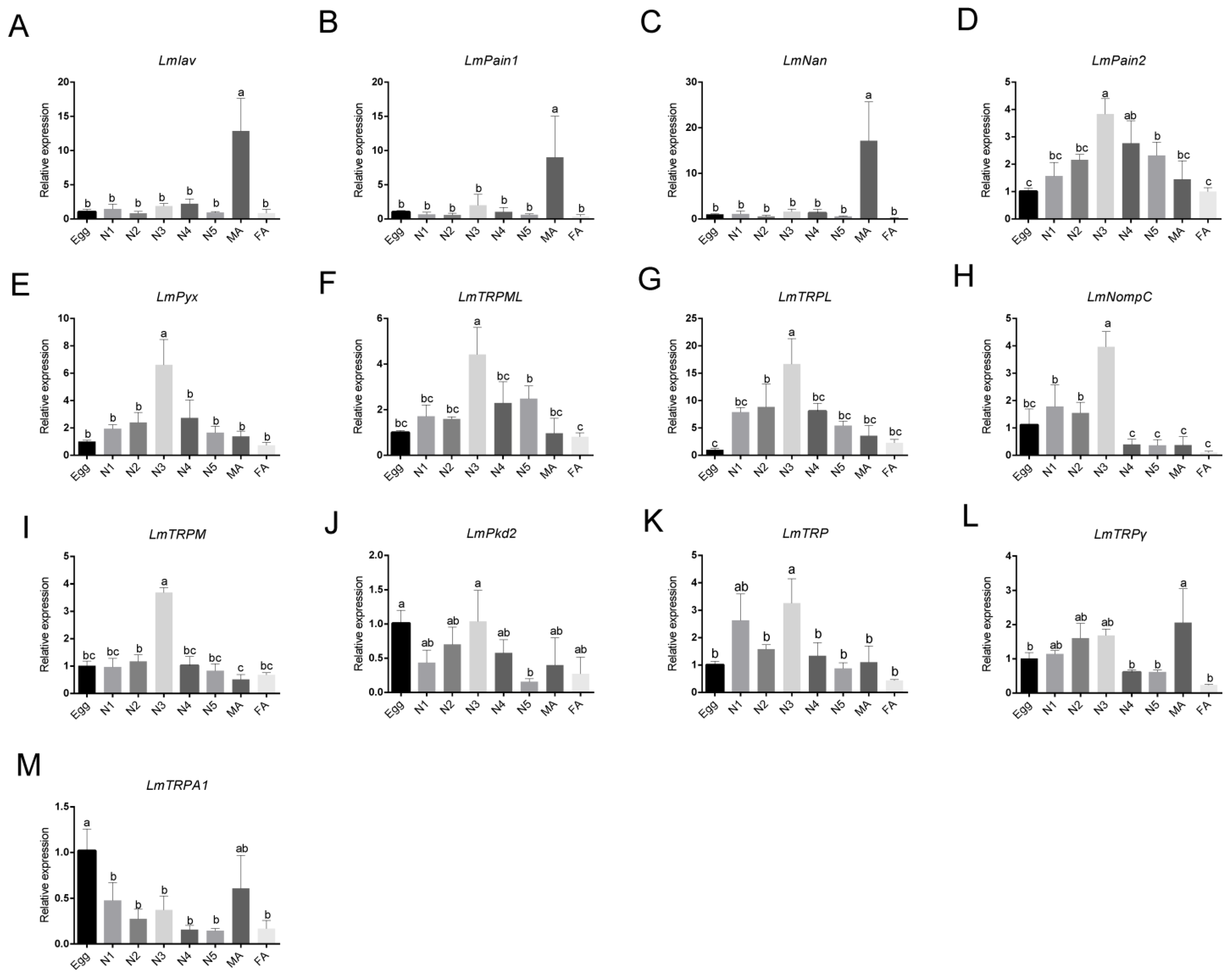 Genes 14 01427 g005 Genes 14 01427 g005