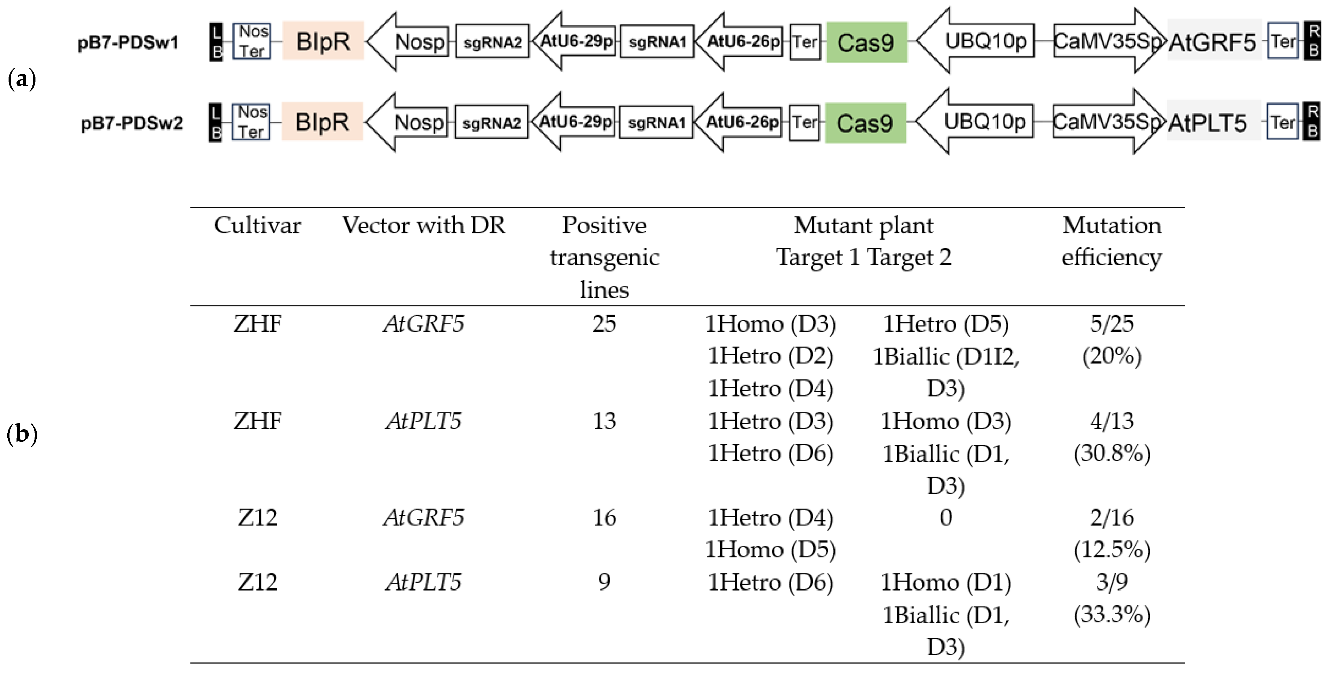 Genes 14 01432 g003a