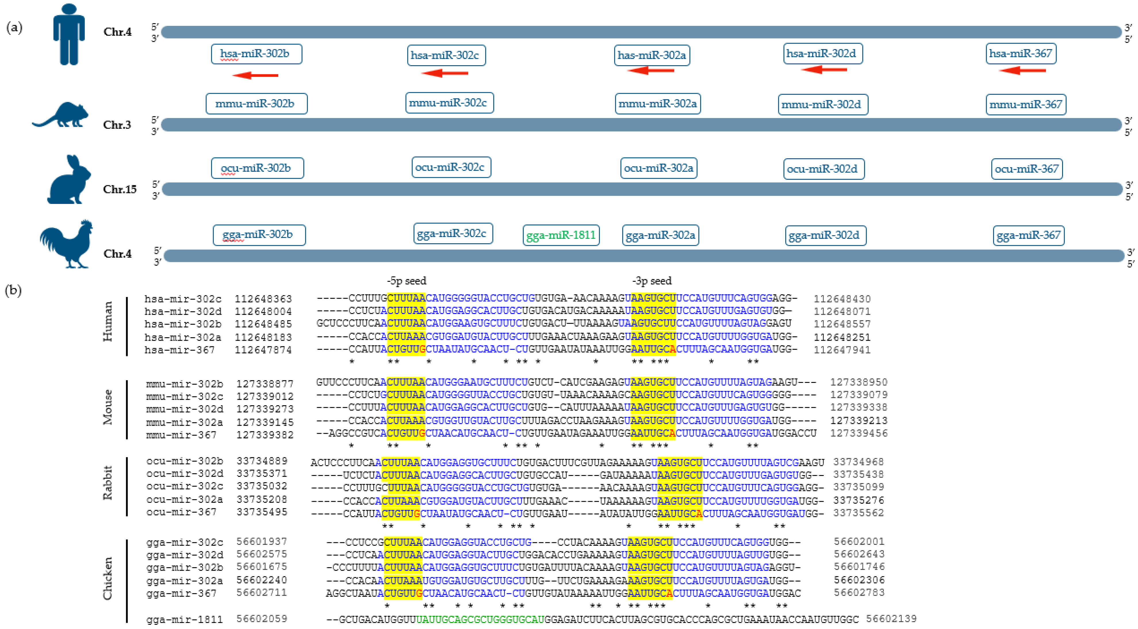 Genes 14 01434 g001 Genes 14 01434 g001