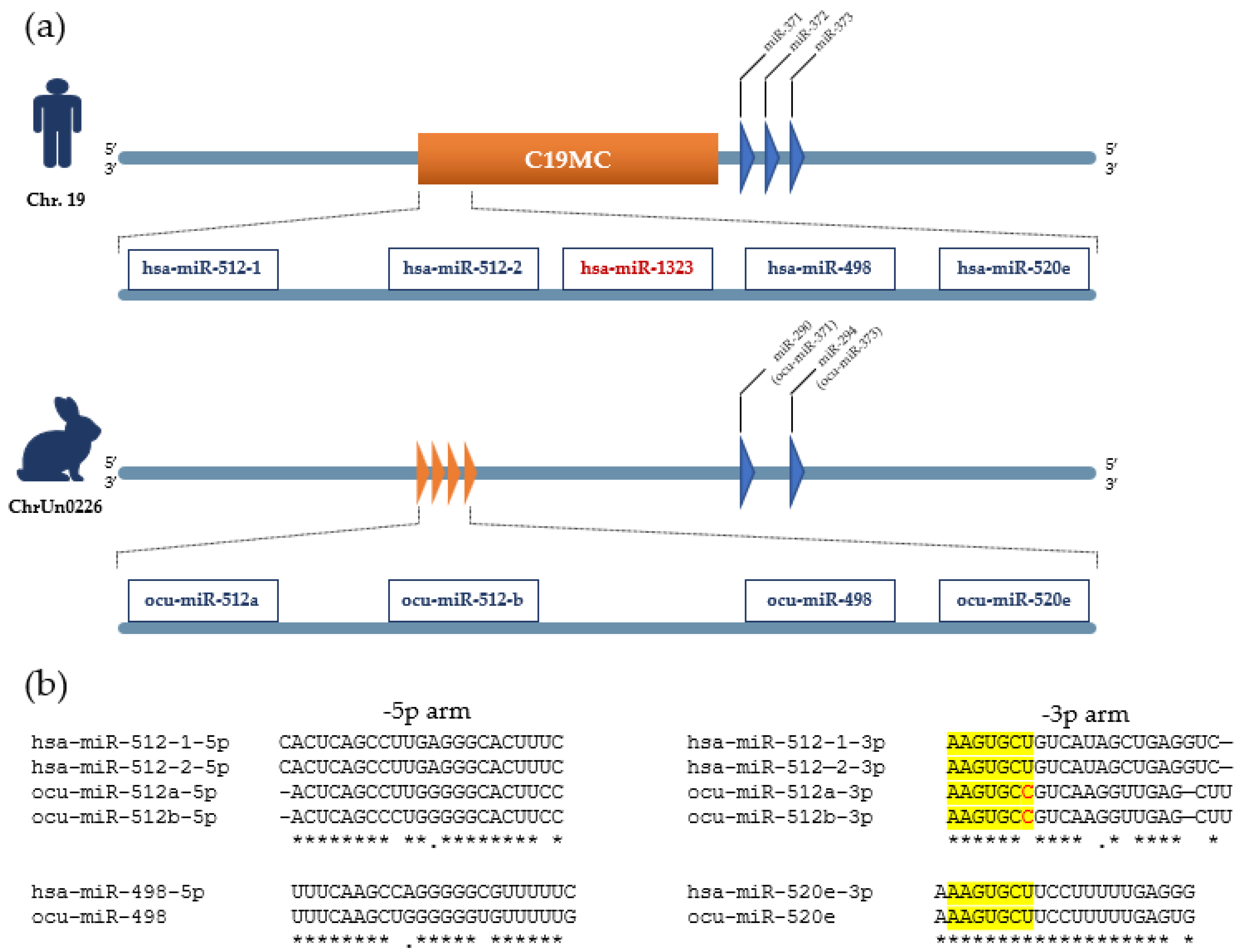 Genes 14 01434 g003 Genes 14 01434 g003