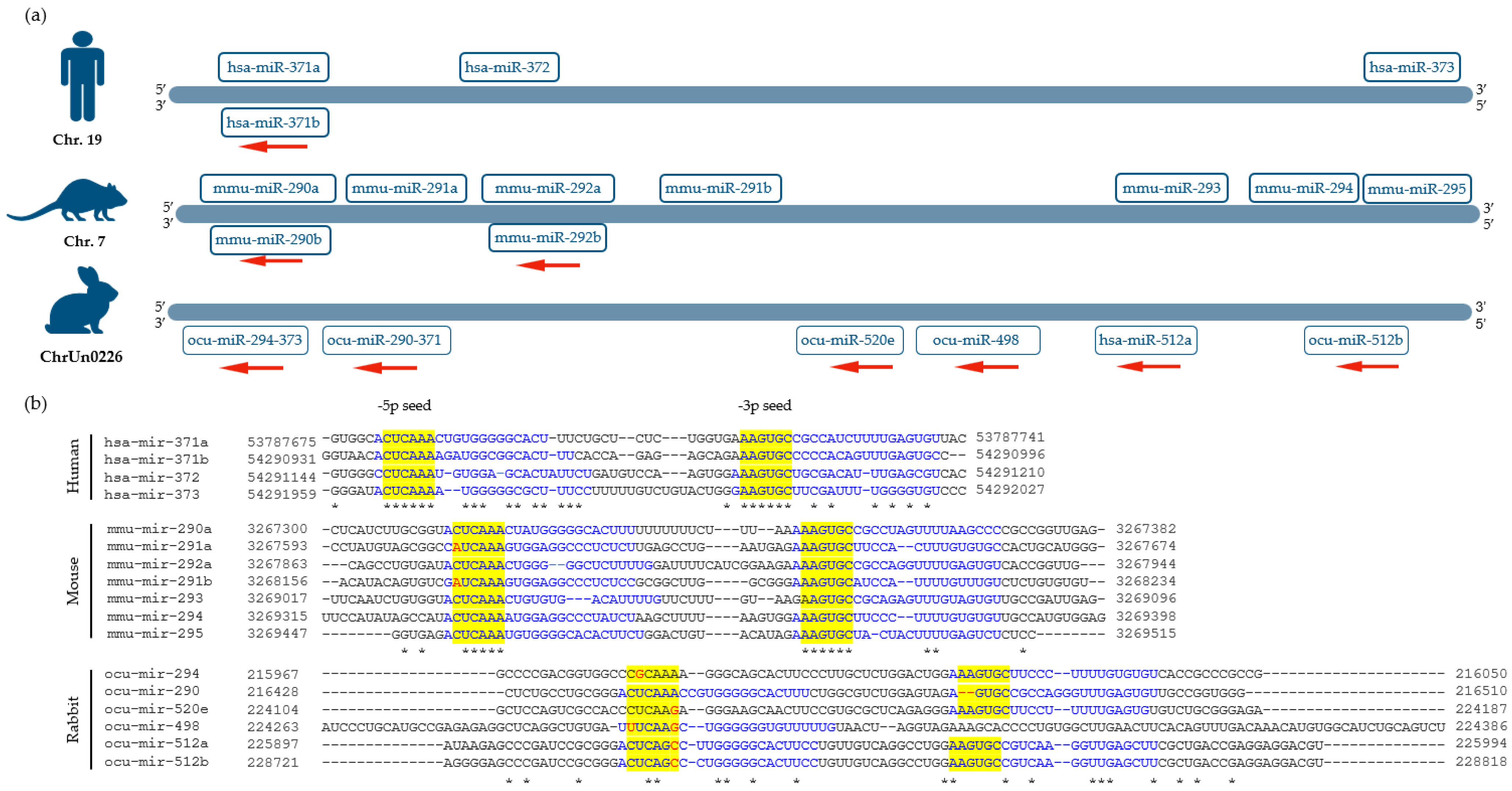 Genes 14 01434 g004 Genes 14 01434 g004
