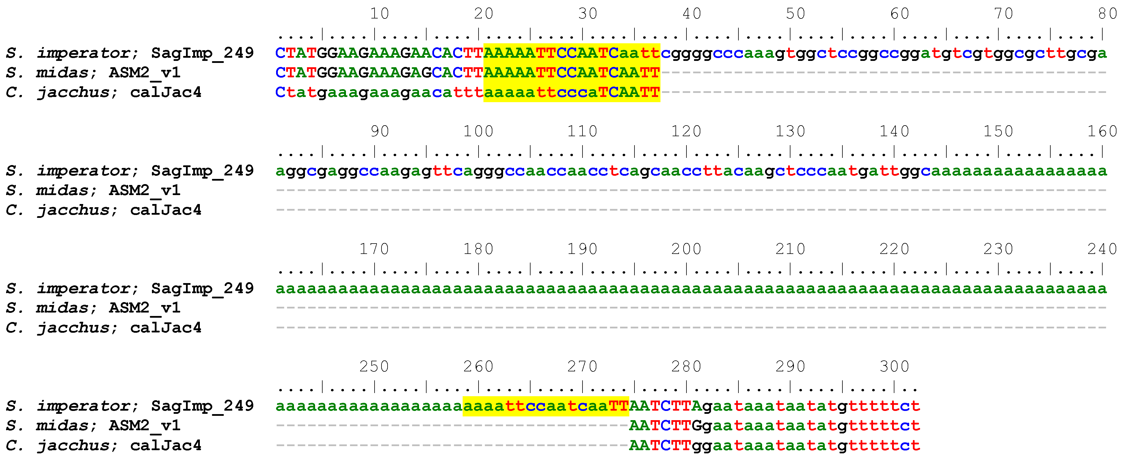 Extensive Independent Amplification of Platy-1 Retroposons in 